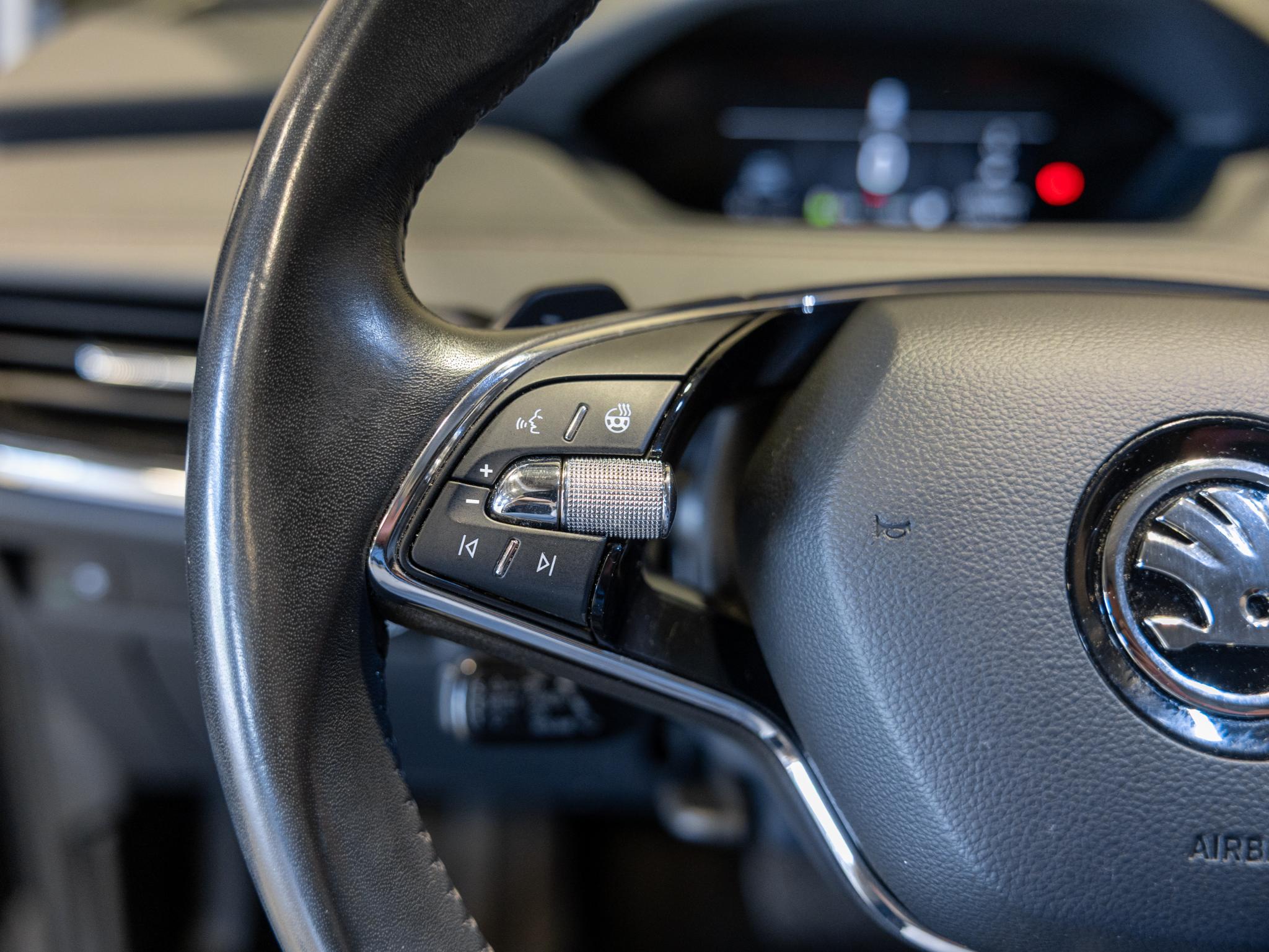 Foto van Skoda Enyaq 80