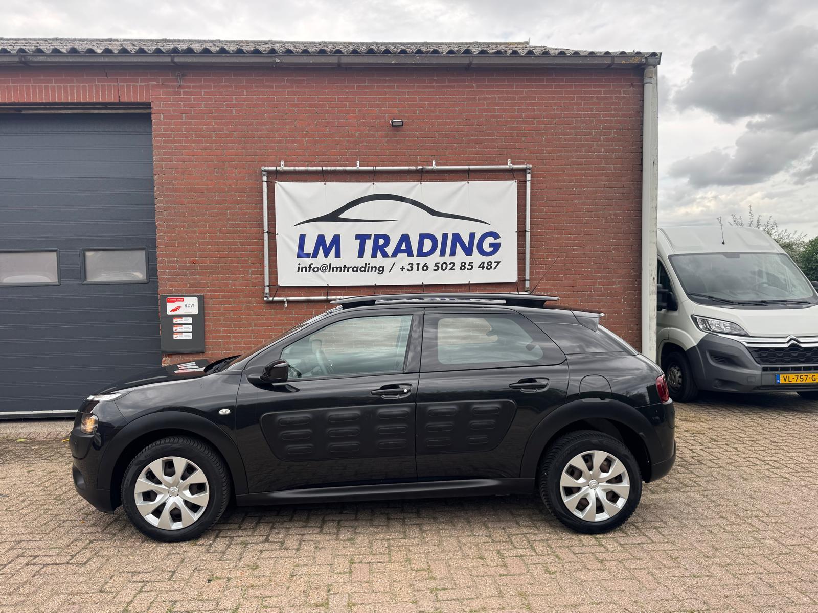 Foto van Citroen C4 Cactus