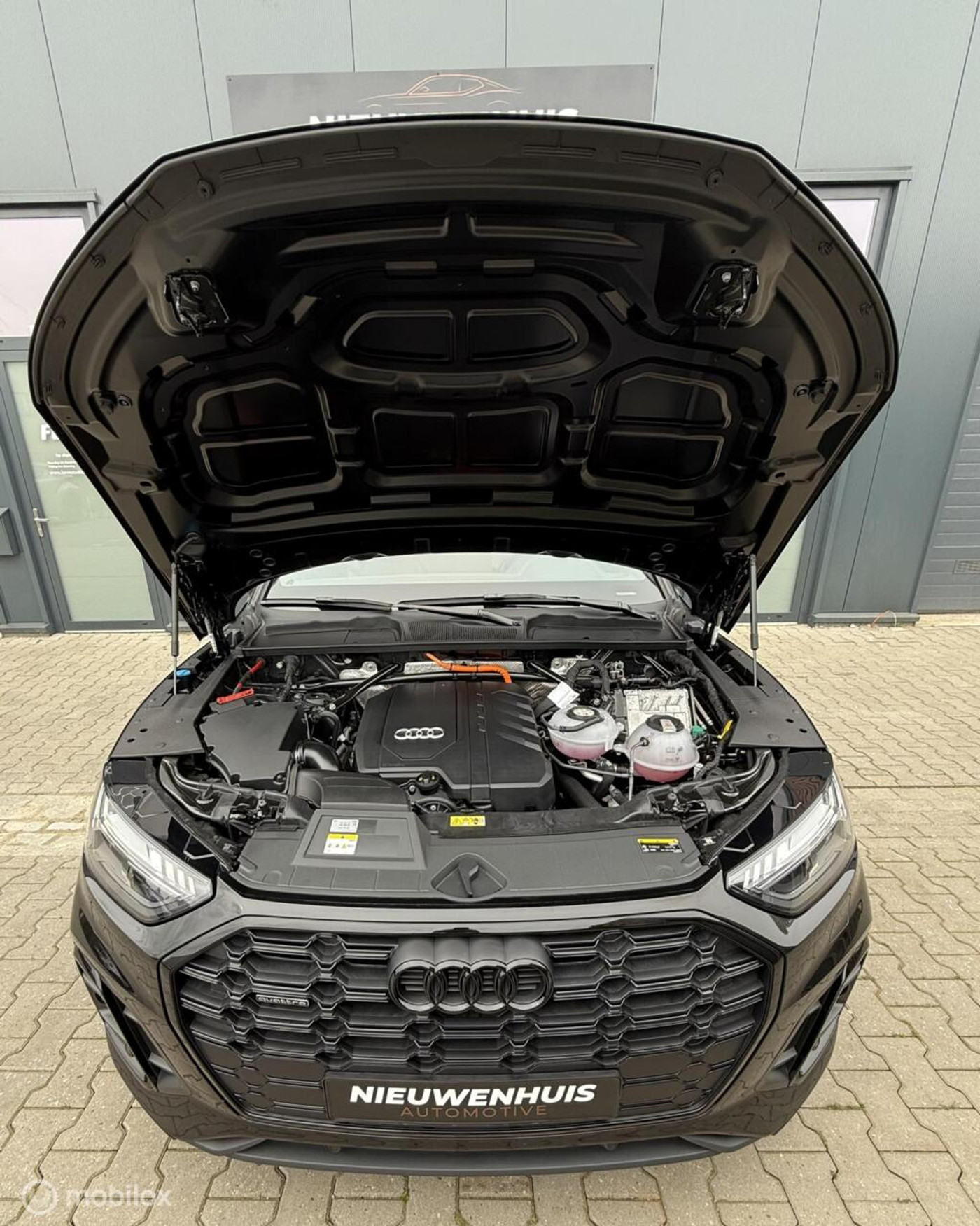 Foto van Audi Q5 55 TFSI E