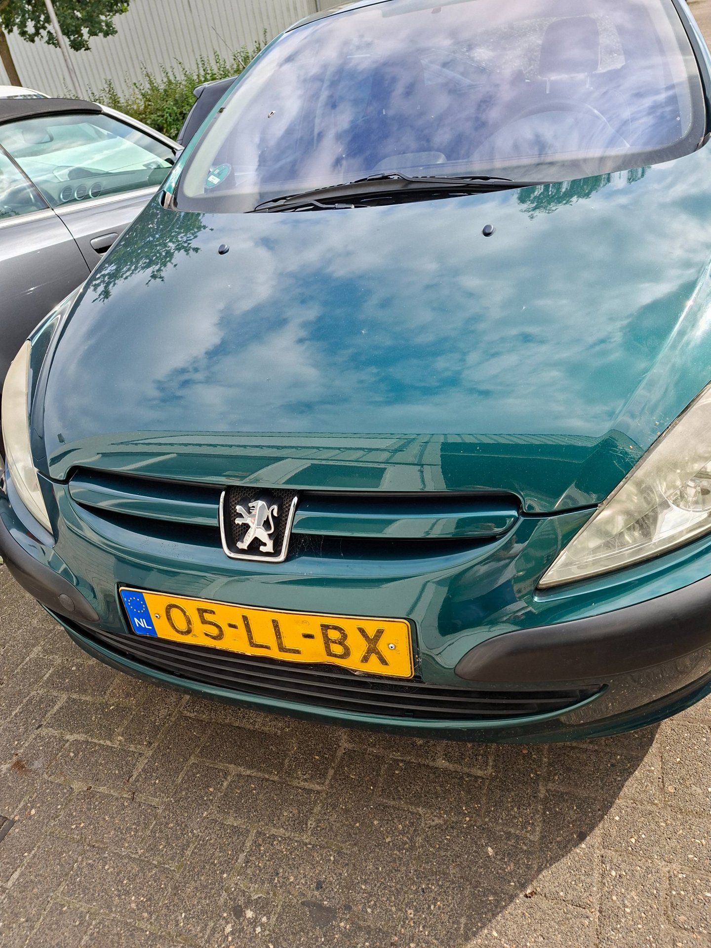 Foto van Peugeot 307