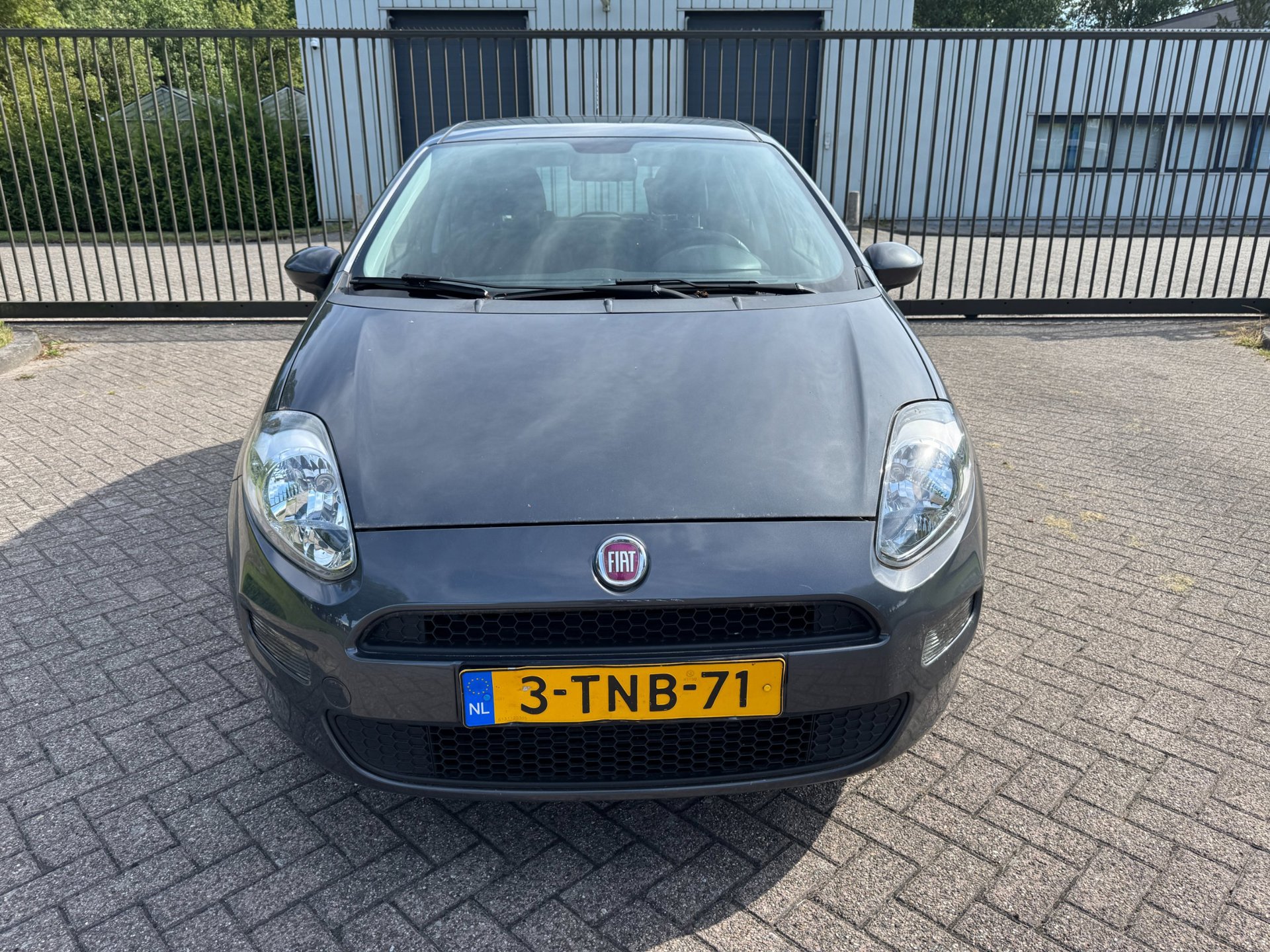 Foto van Fiat Fiat Punto