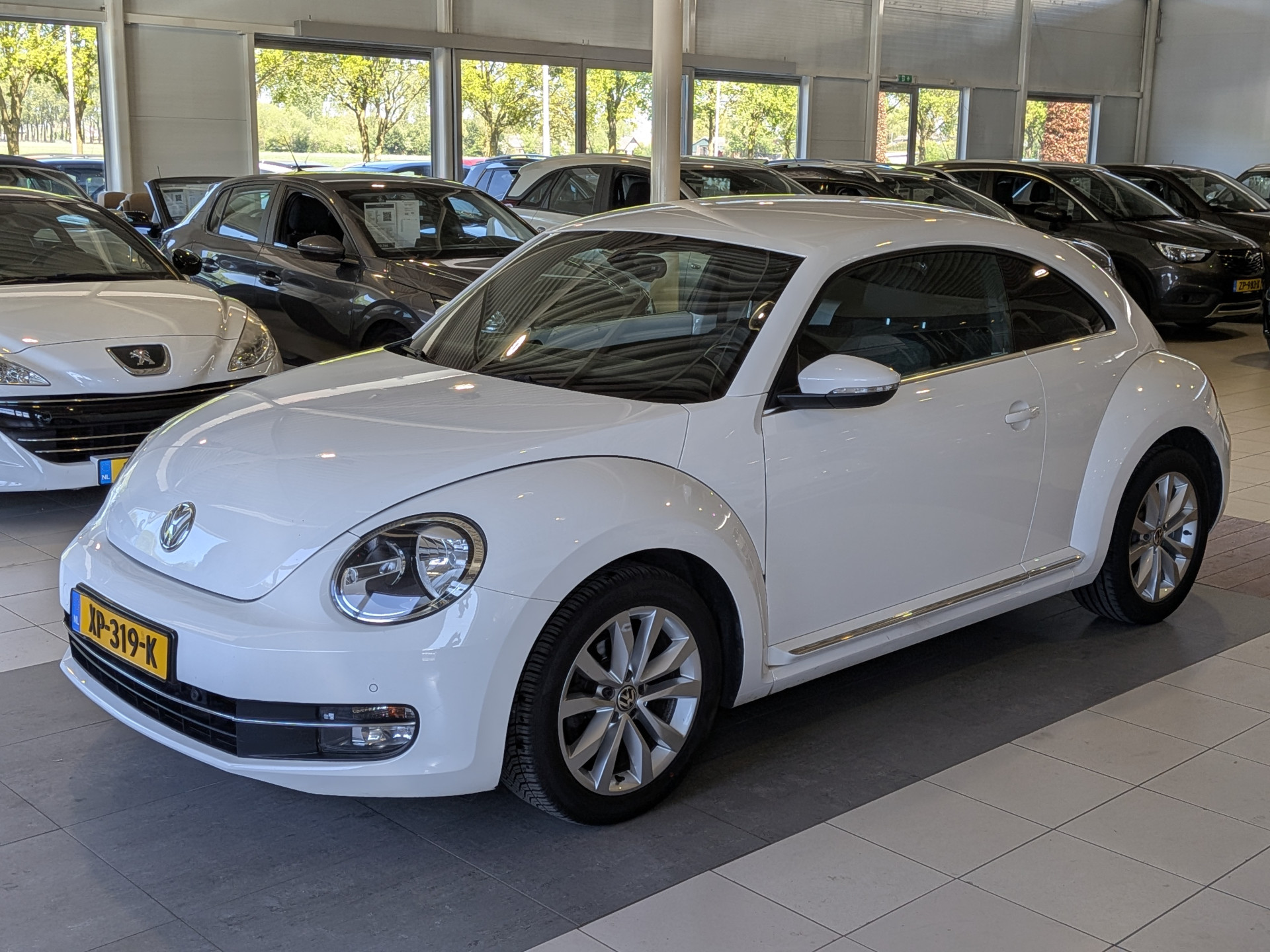 Foto van Volkswagen Beetle