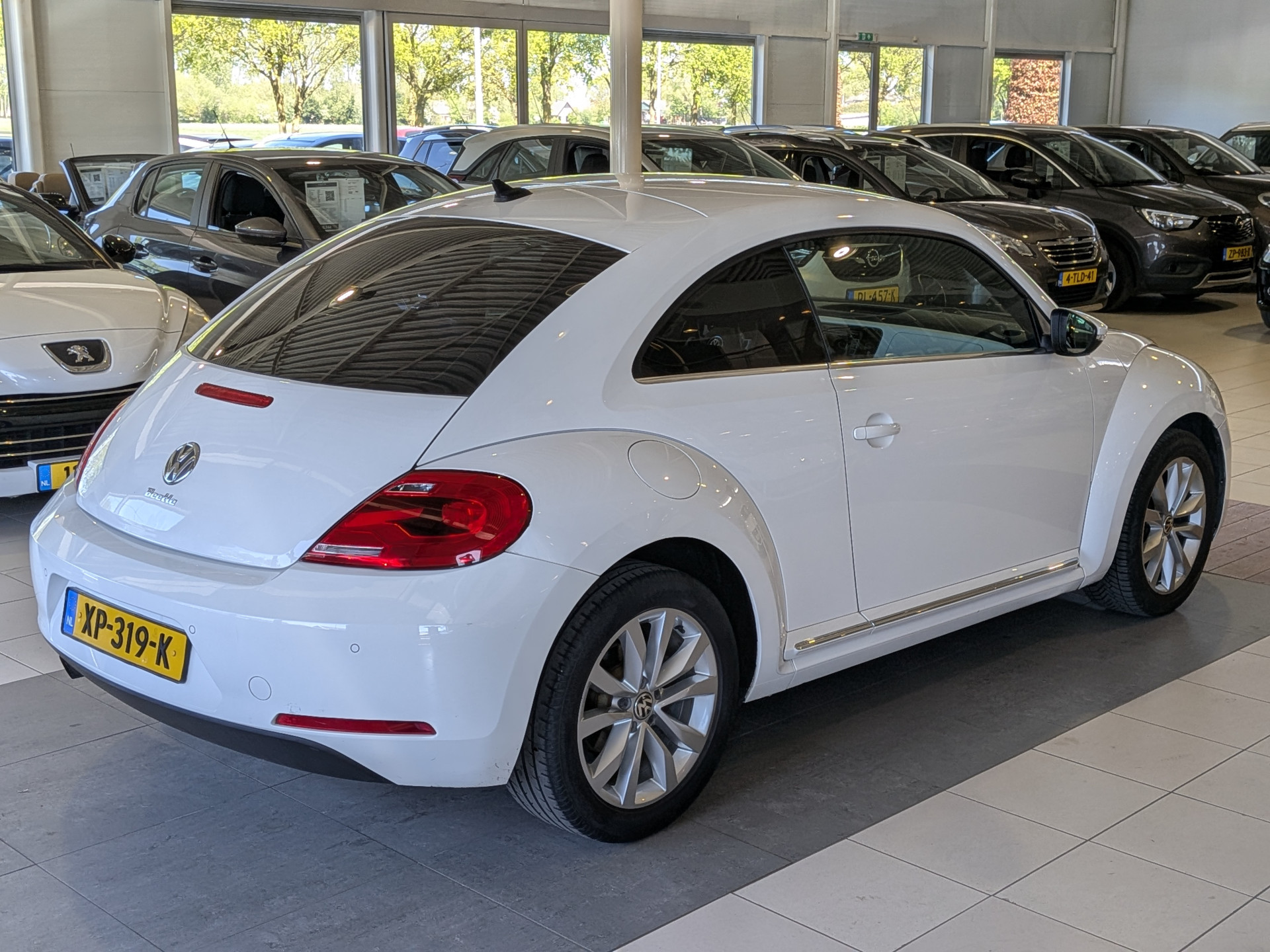 Foto van Volkswagen Beetle