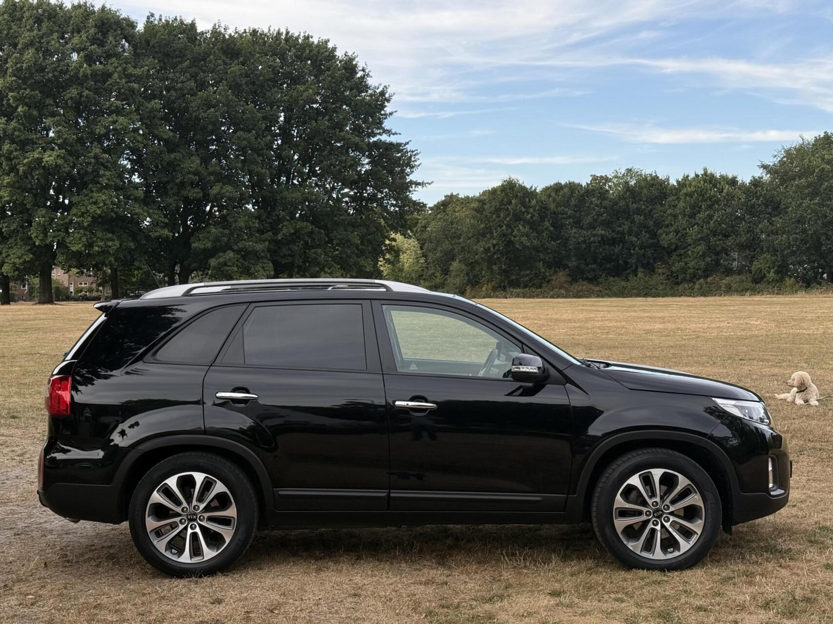 Foto van Kia Sorento