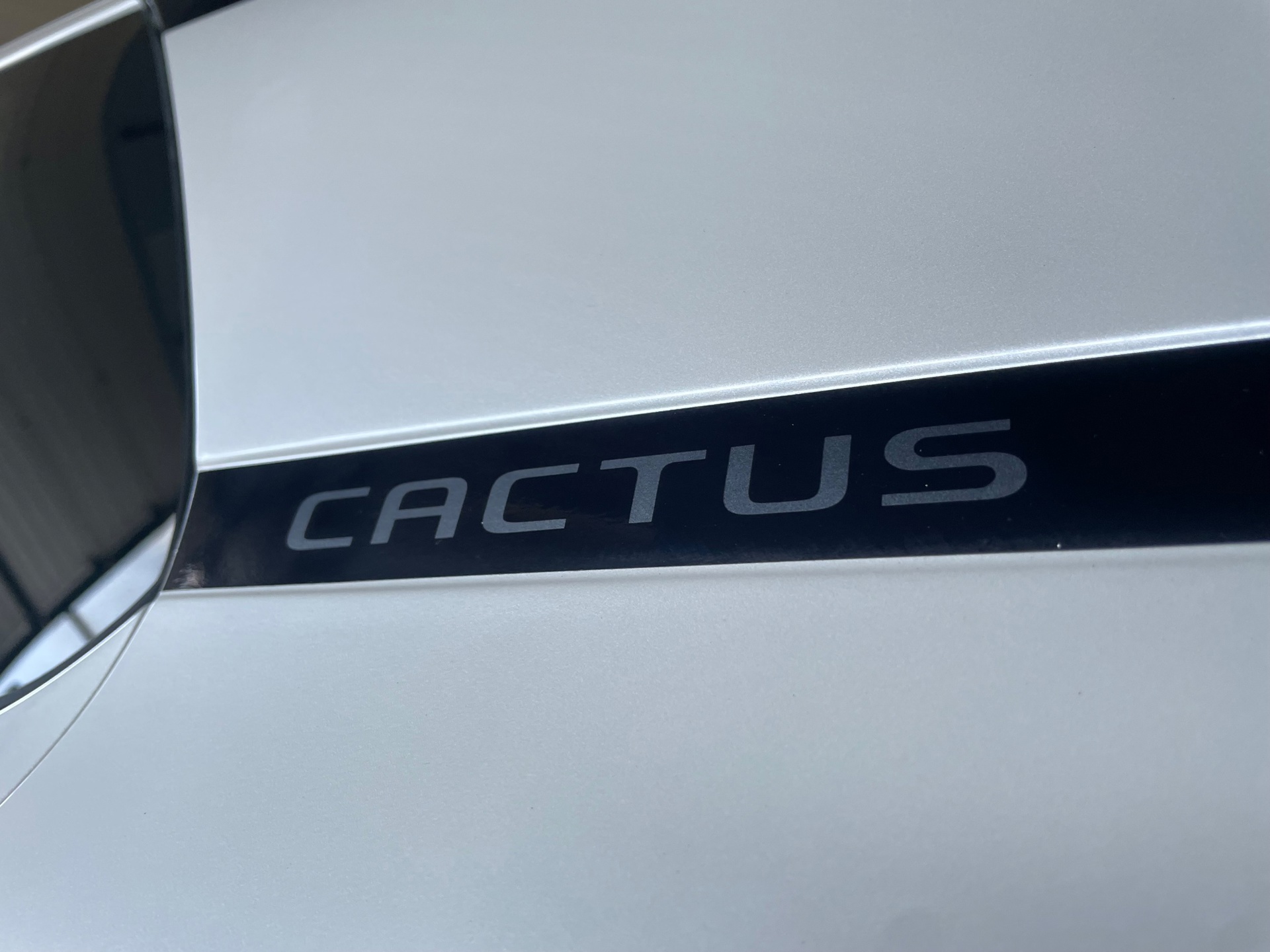 Foto van Citroen C4 Cactus