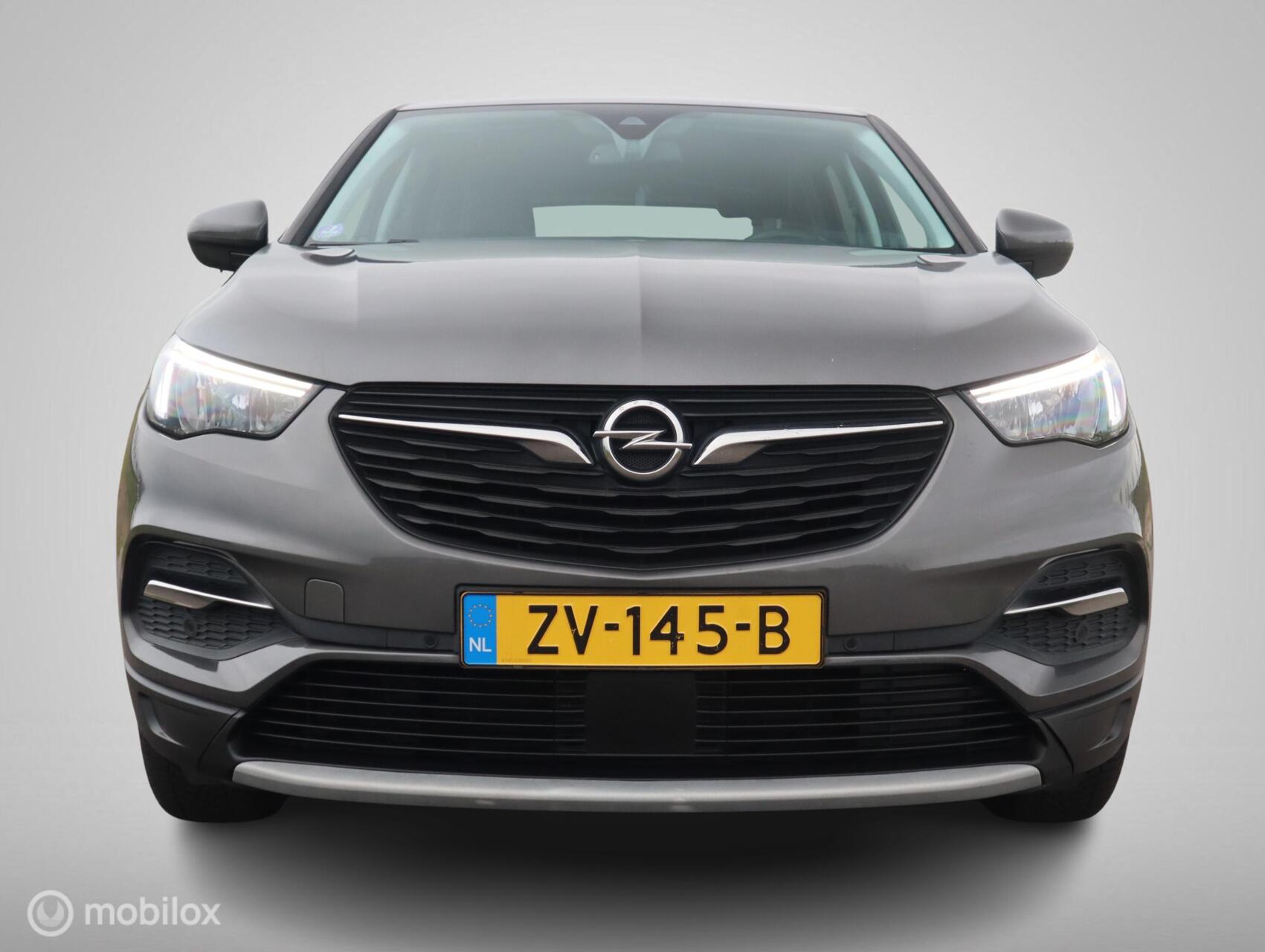 Foto van Opel Grandland X