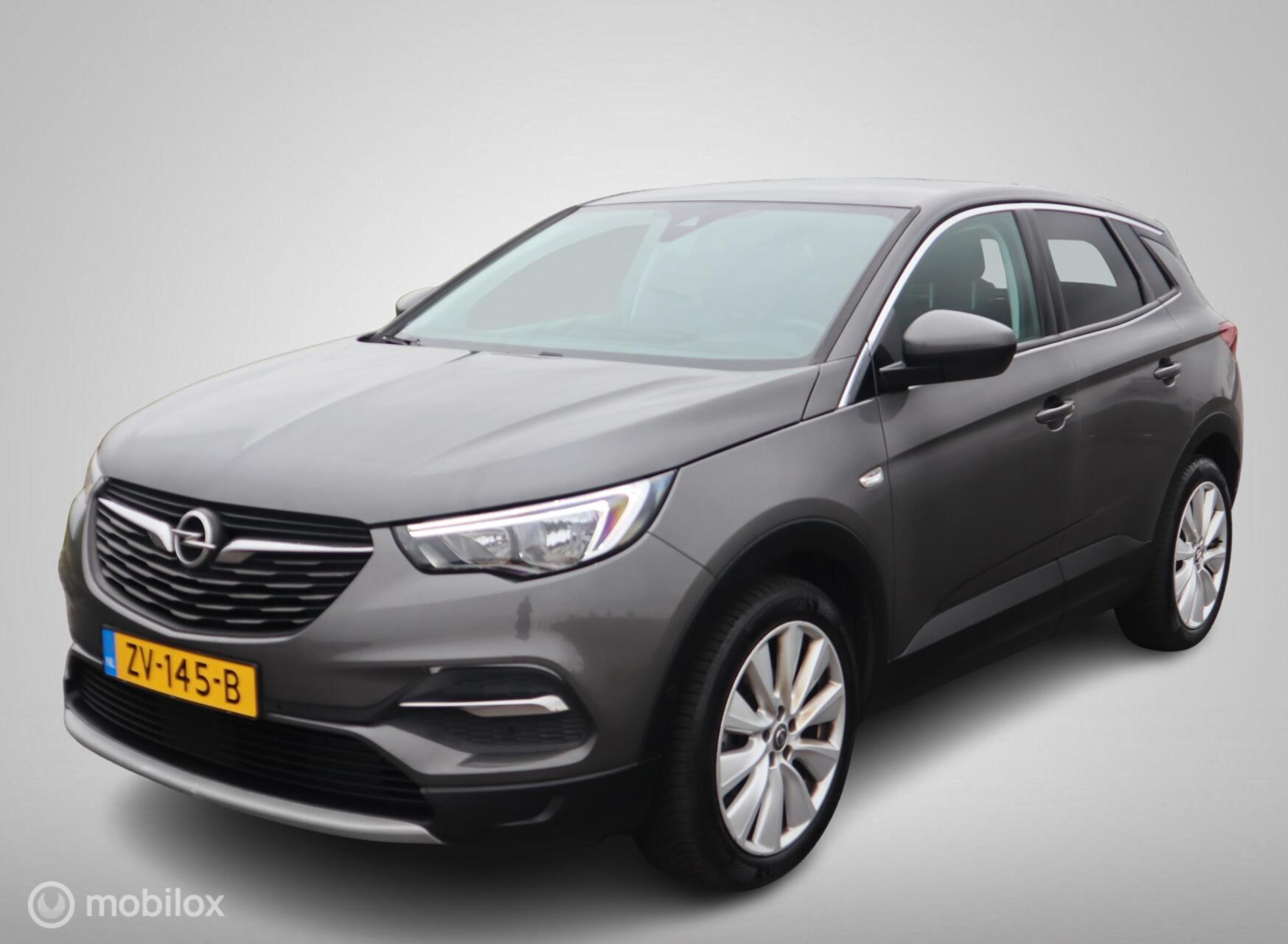 Foto van Opel Grandland X