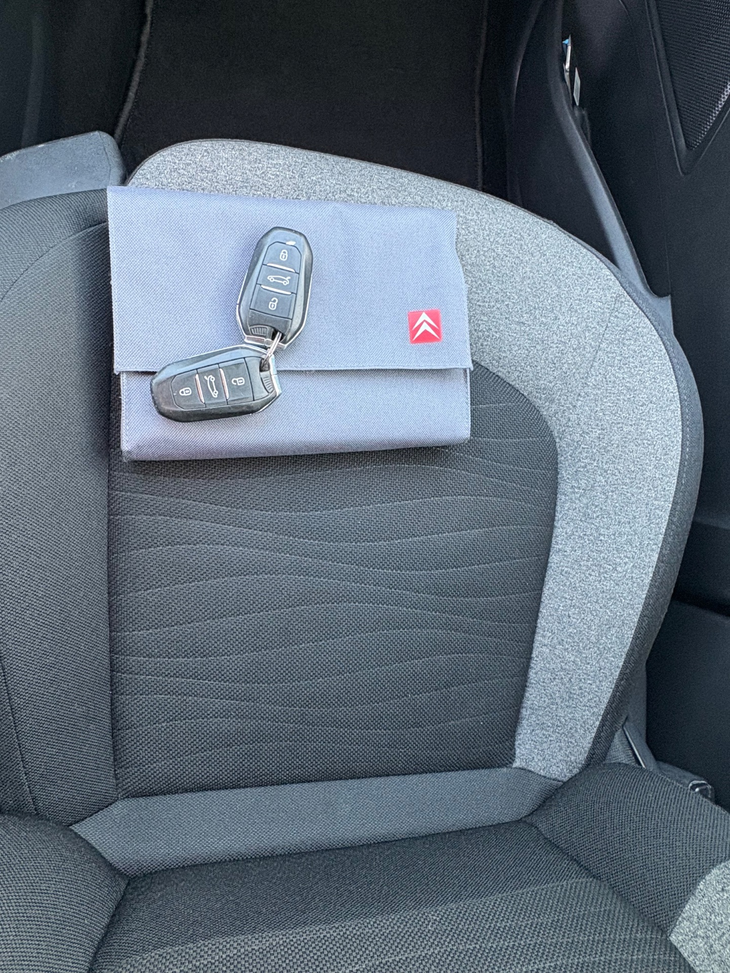 Foto van Citroen C4 Picasso