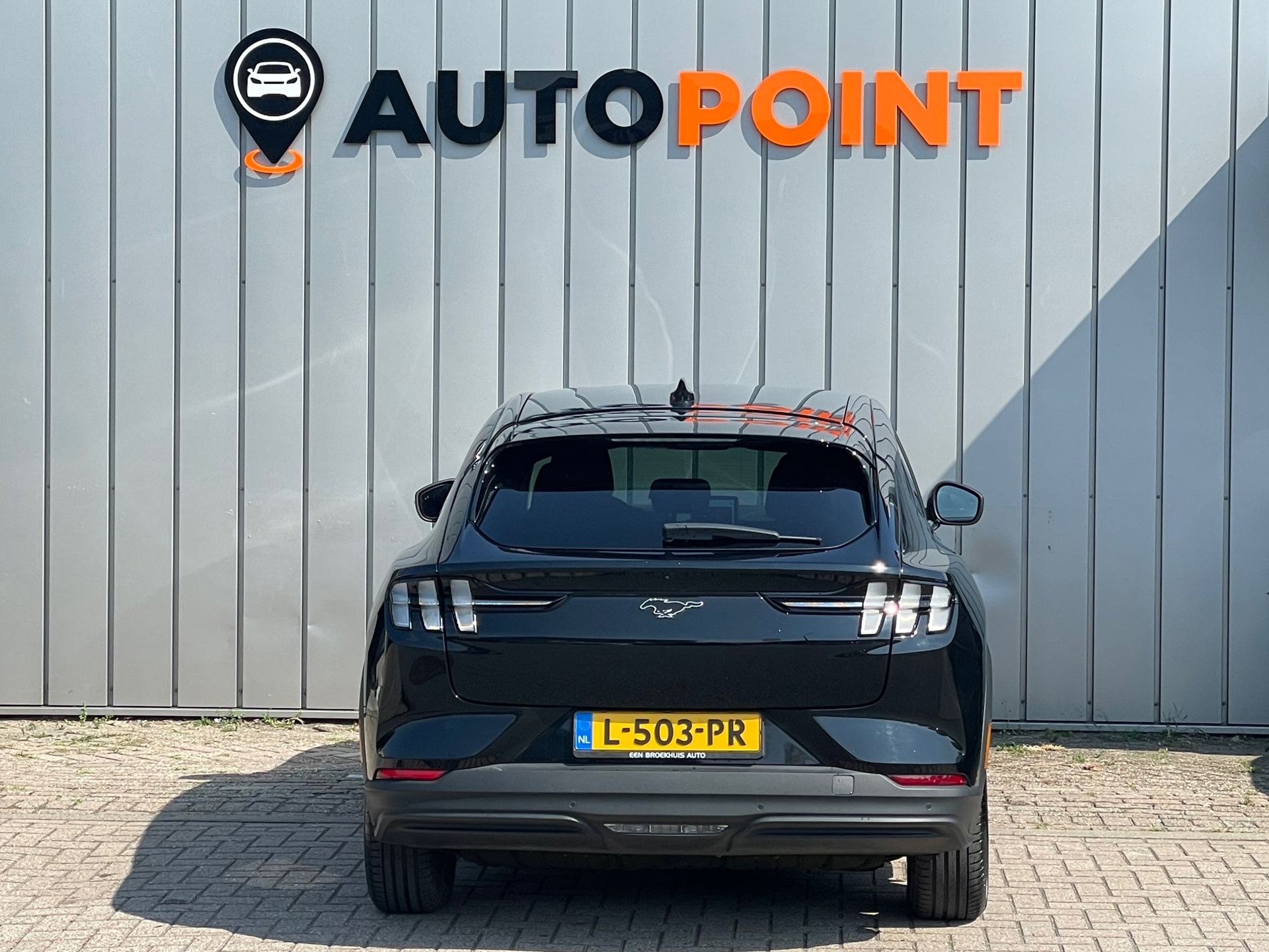 Foto van Ford Mustang Mach-e