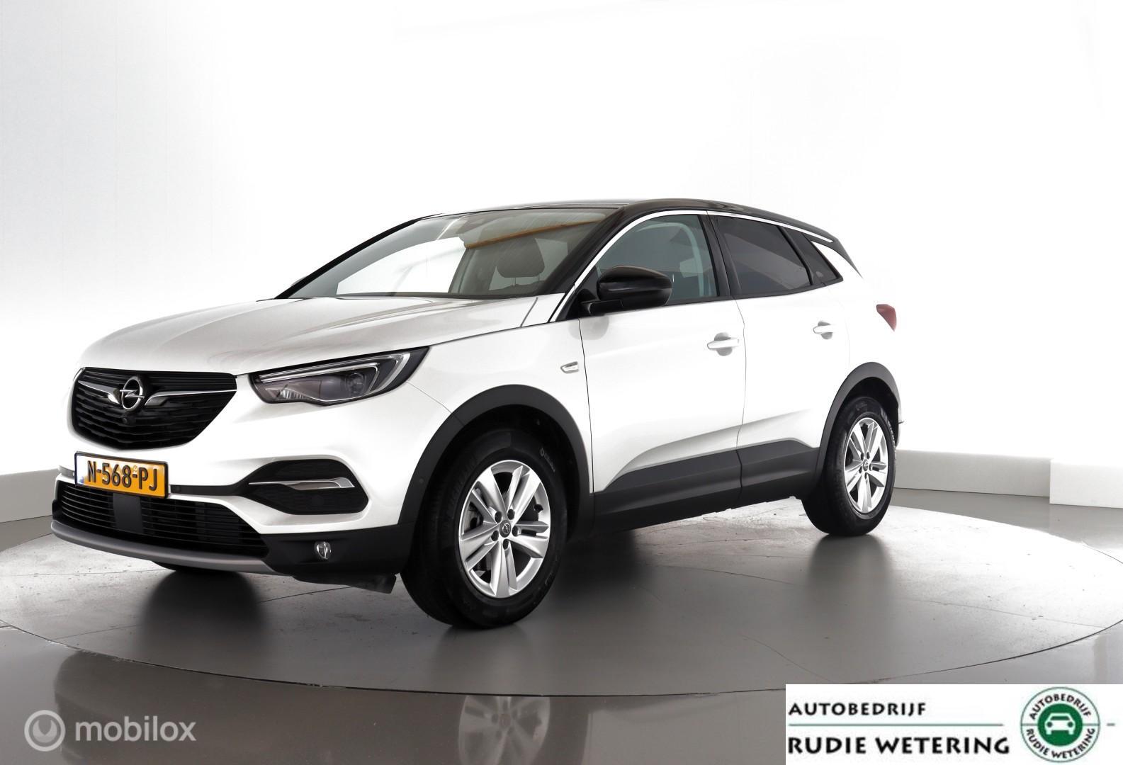 Opel Grandland X 1.2 T automaat Business Elegance leder|winter|nav|360cam|lmv17 2021 - voorkant