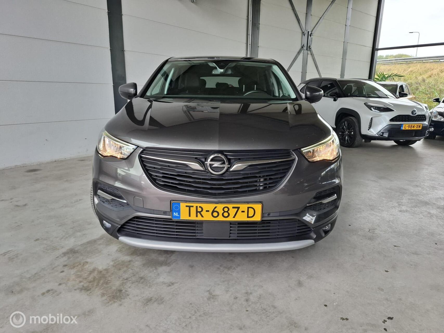 Foto van Opel Grandland X