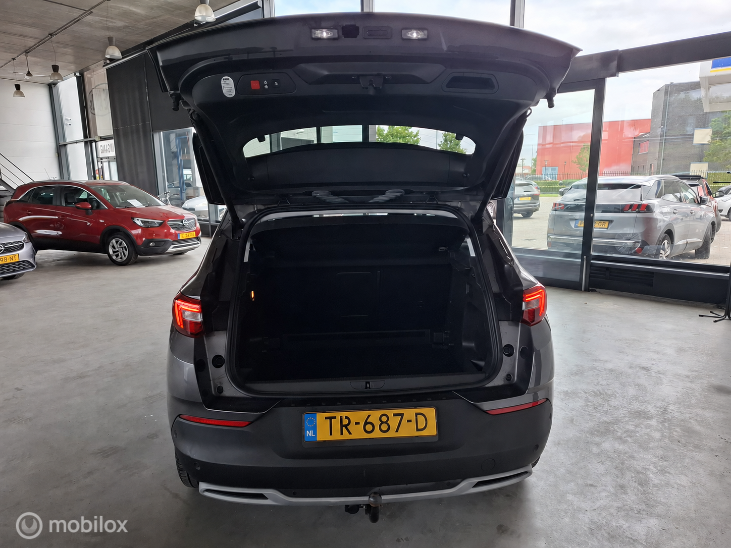 Foto van Opel Grandland X