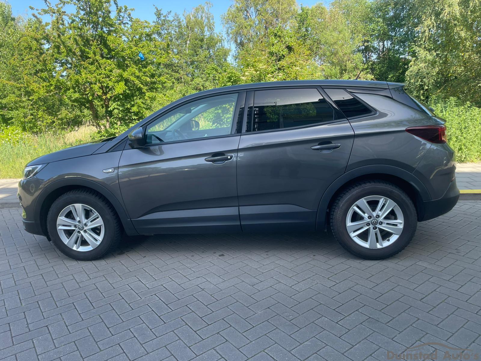 Foto van Opel Grandland X