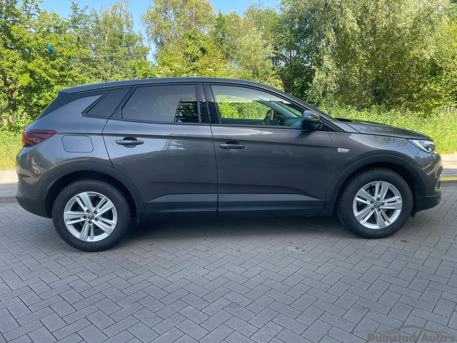 Foto van Opel Grandland X