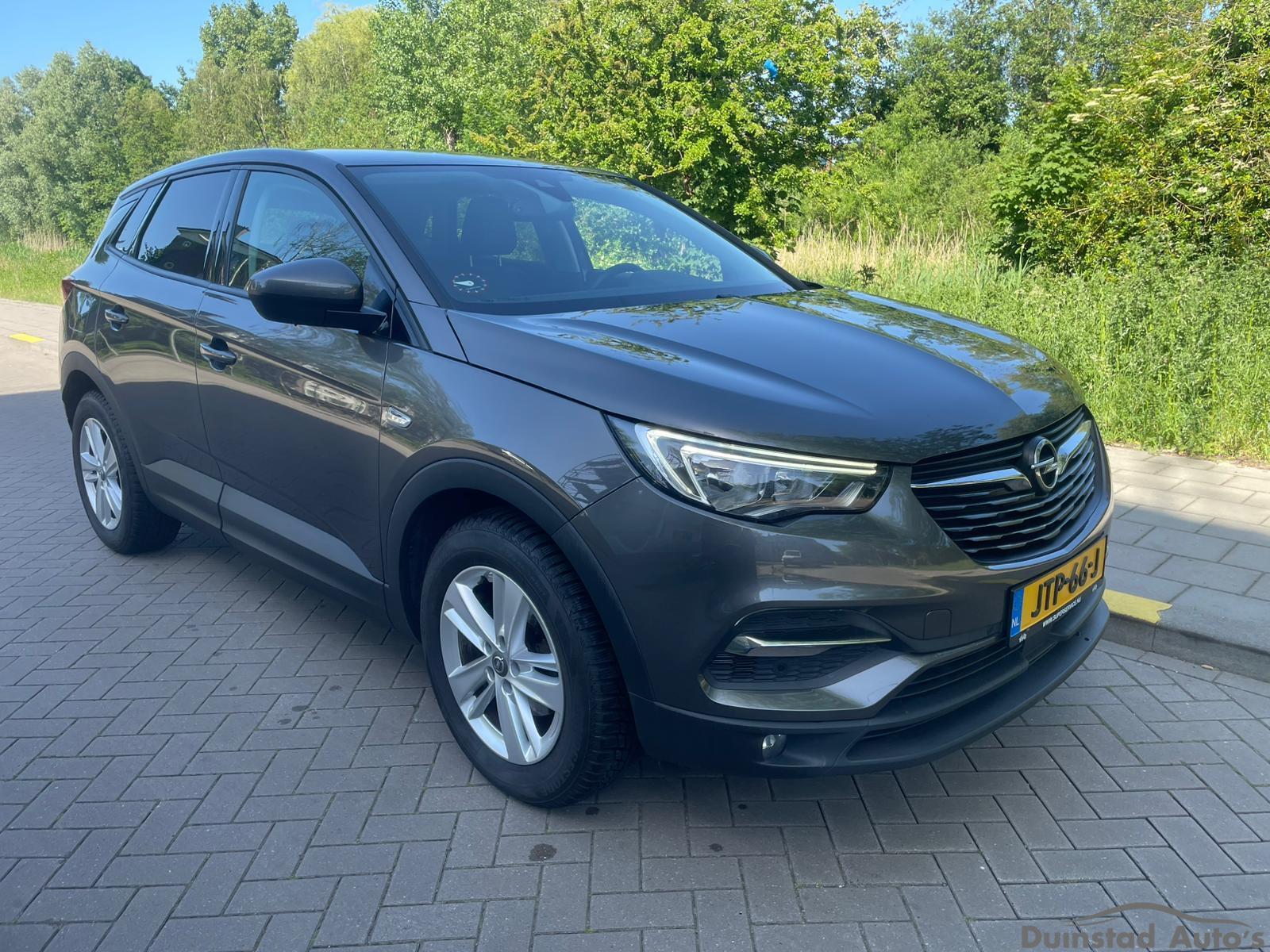 Foto van Opel Grandland X