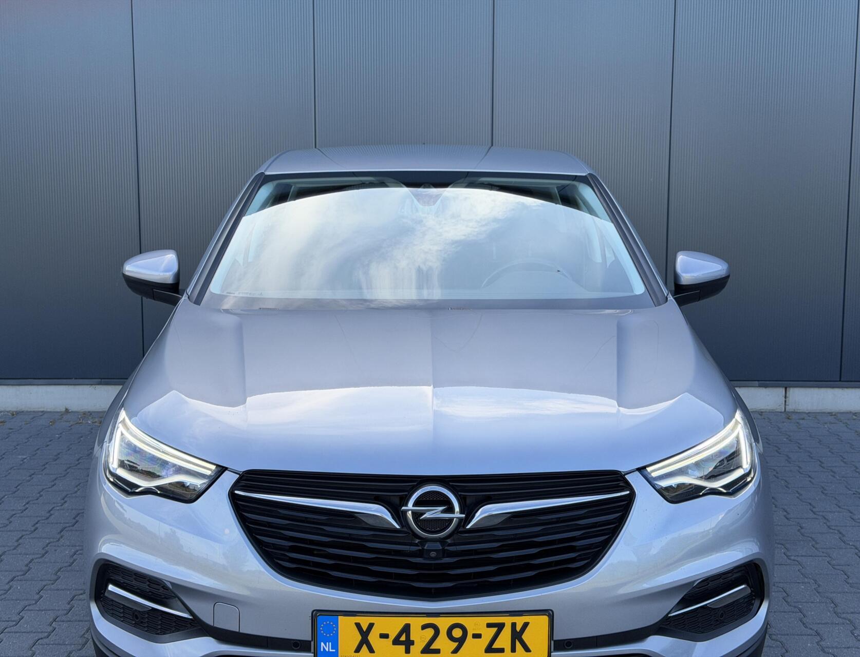 Foto van Opel Grandland X