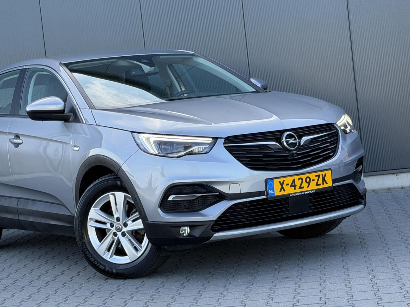 Foto van Opel Grandland X
