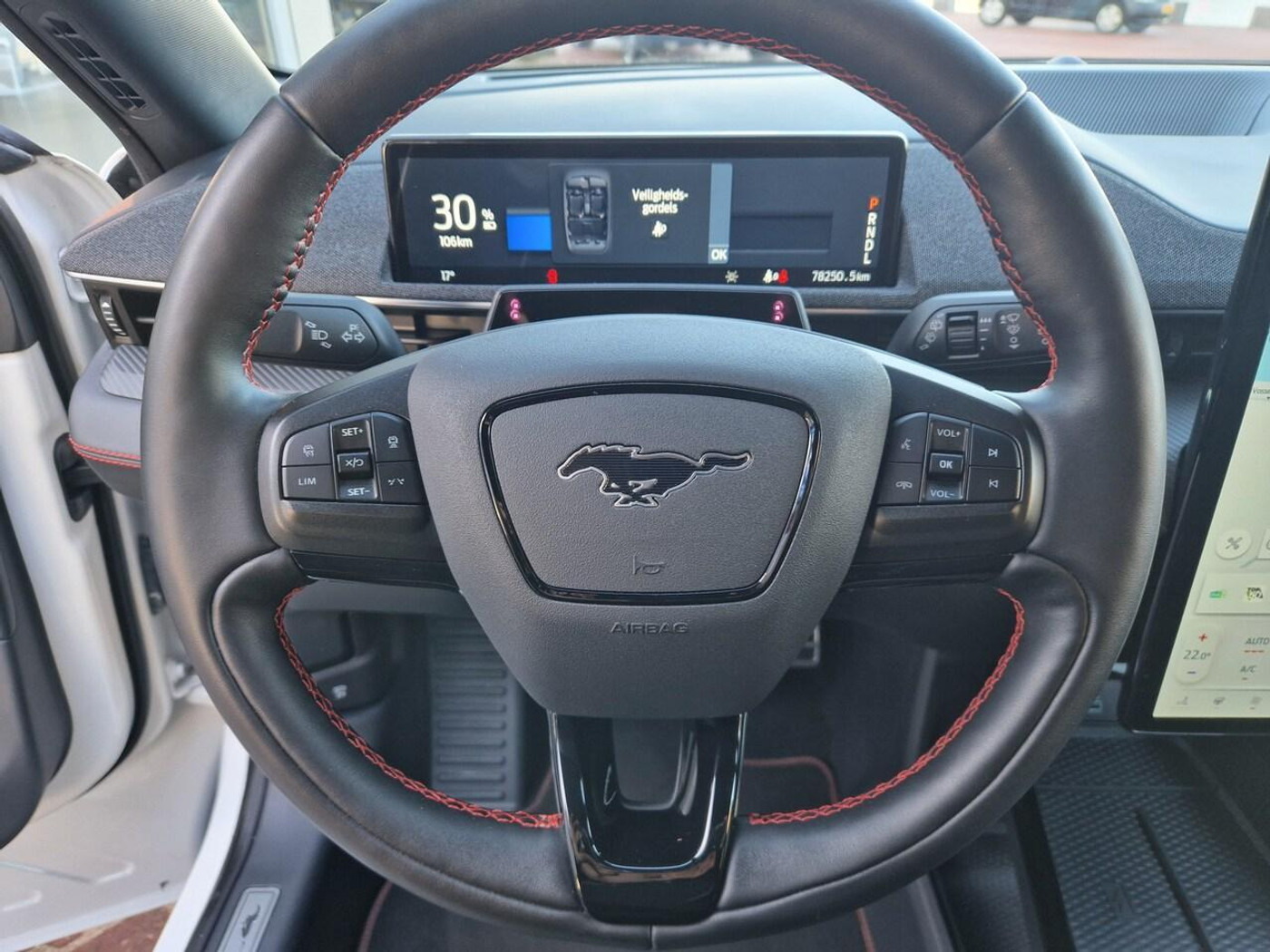 Foto van Ford Mustang Mach-e