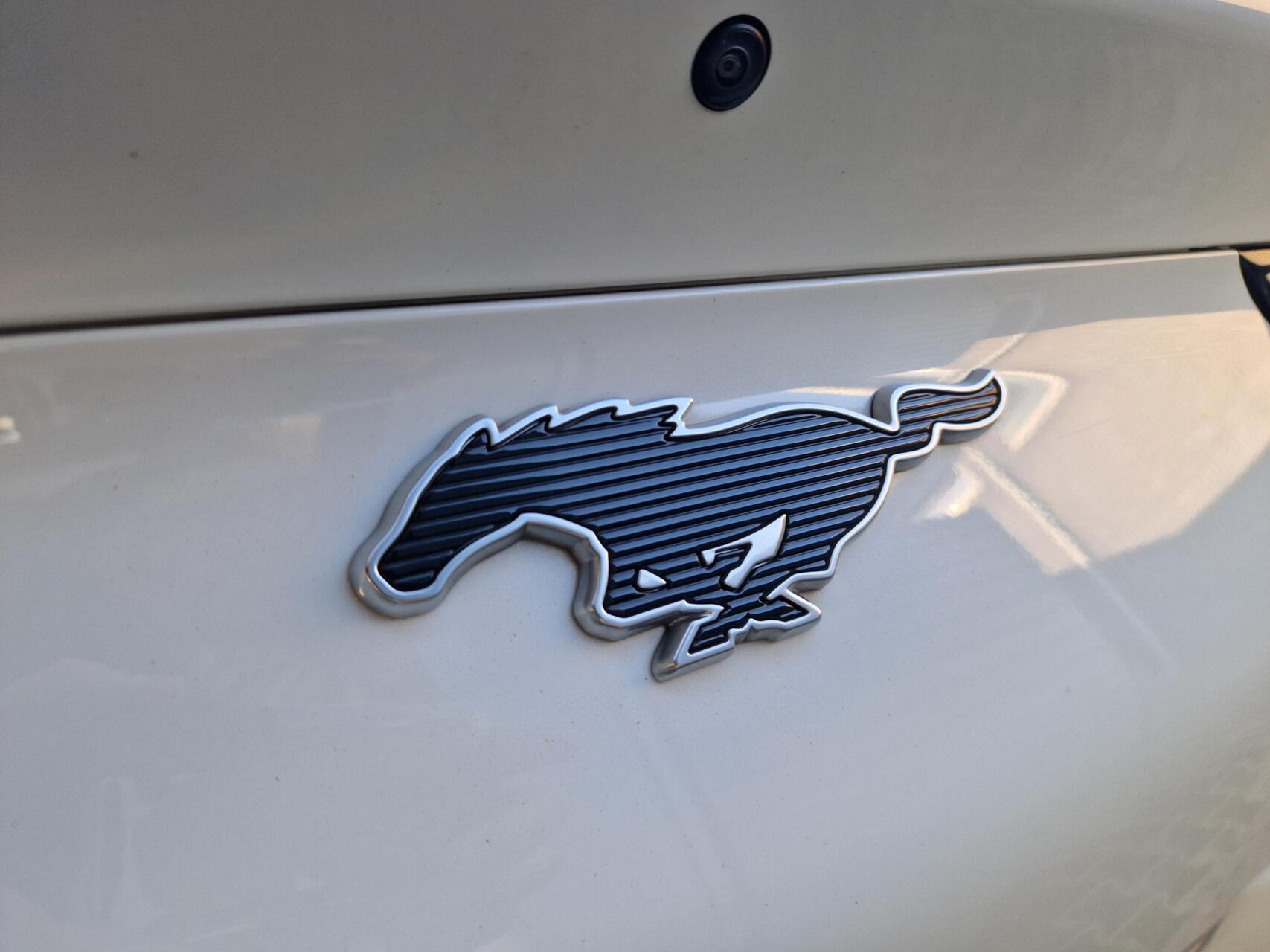 Foto van Ford Mustang Mach-e