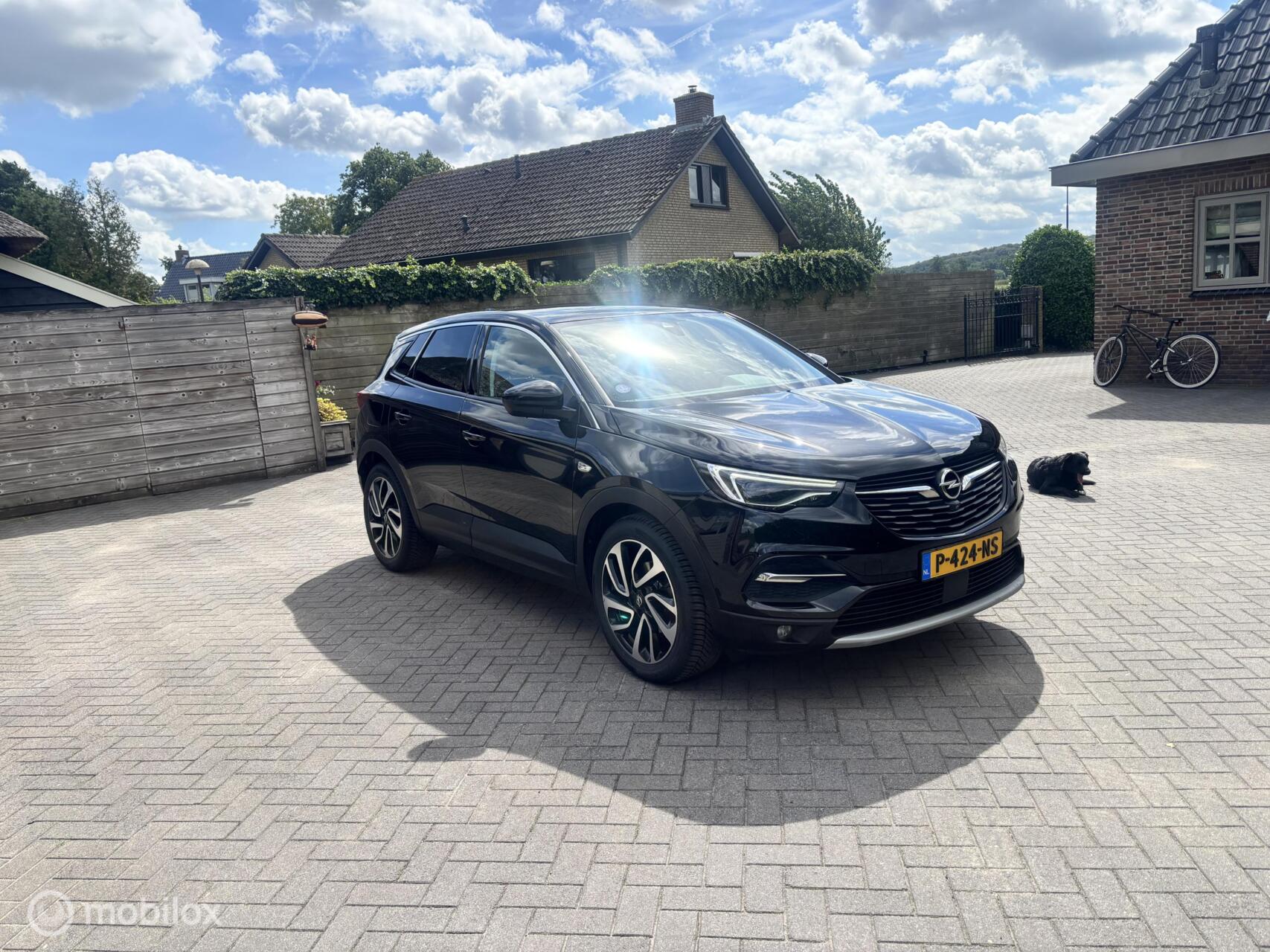 Foto van Opel Grandland X