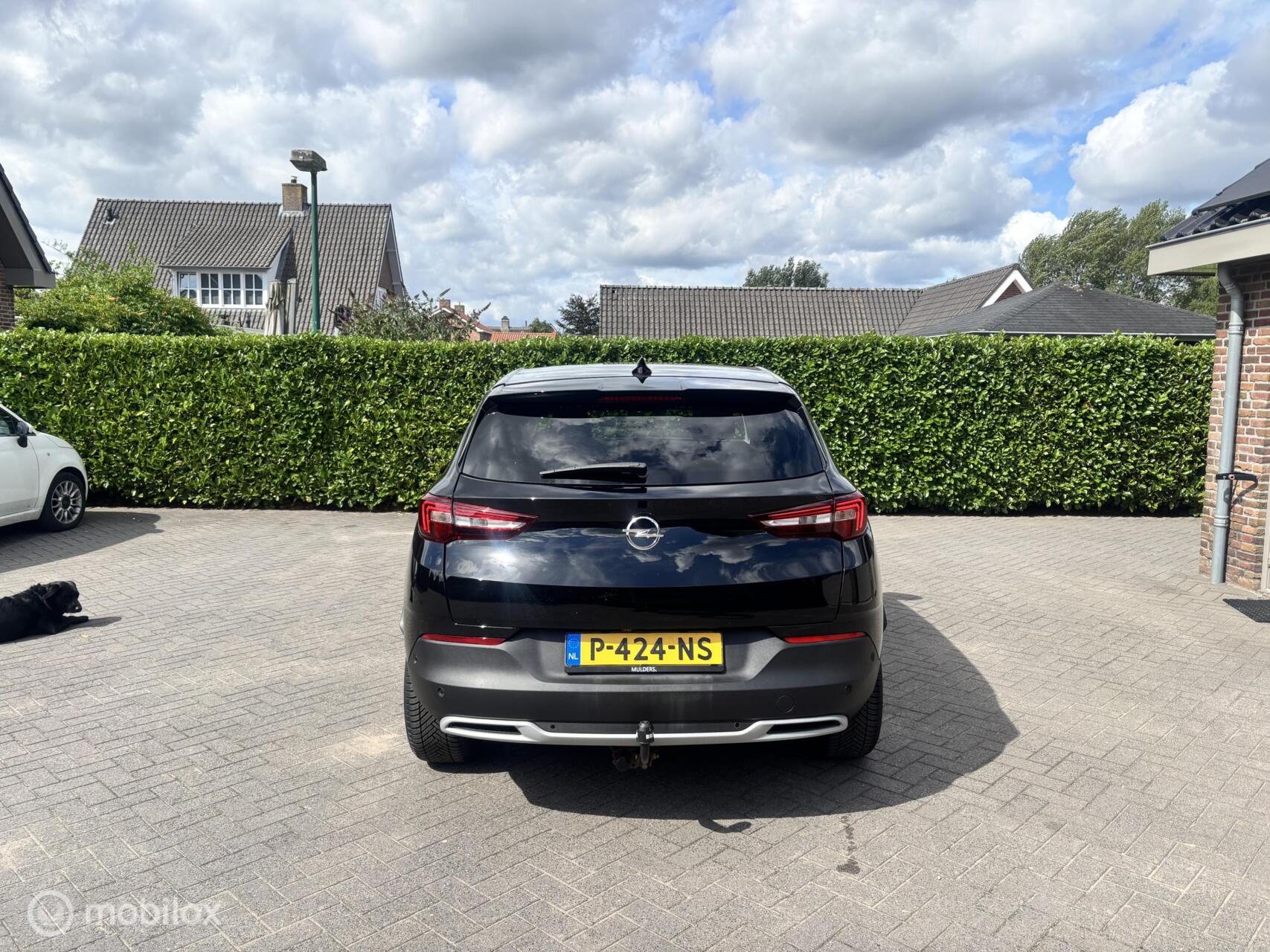 Foto van Opel Grandland X
