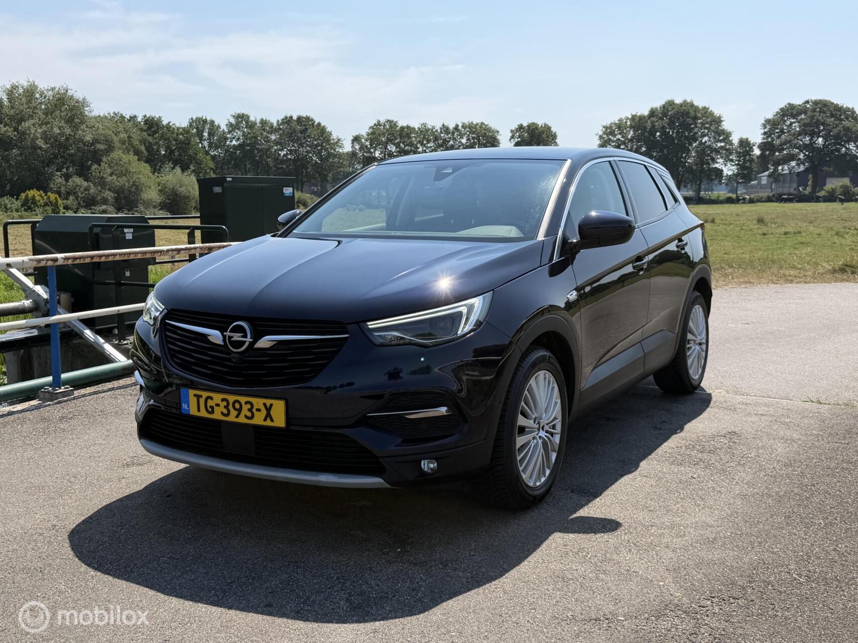 Foto van Opel Grandland X