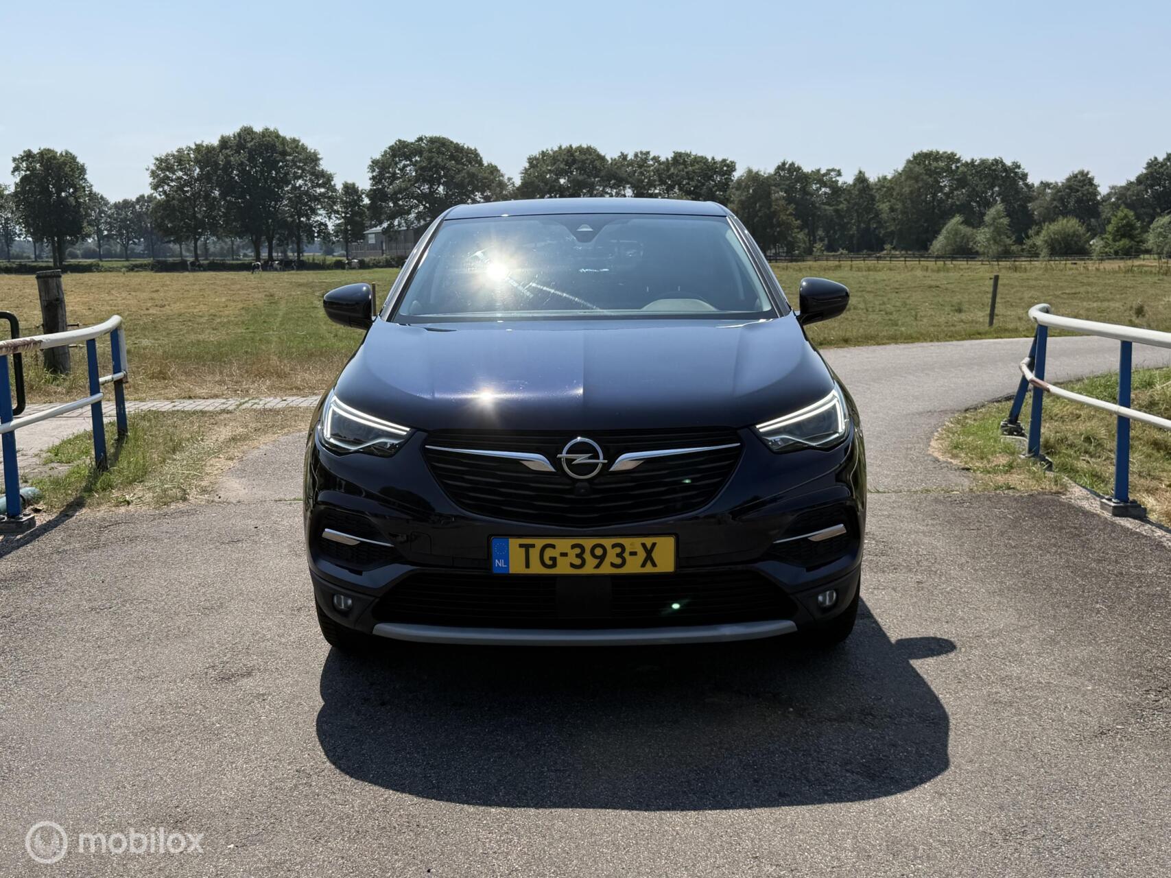 Foto van Opel Grandland X