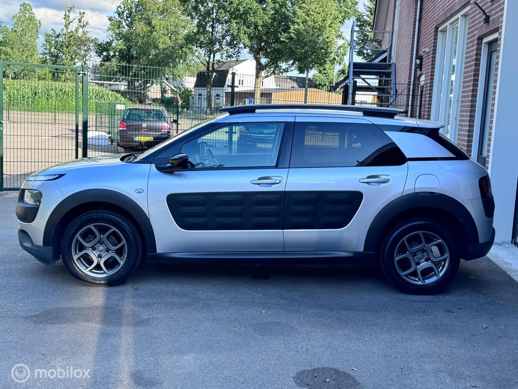 Foto van Citroen C4 Cactus