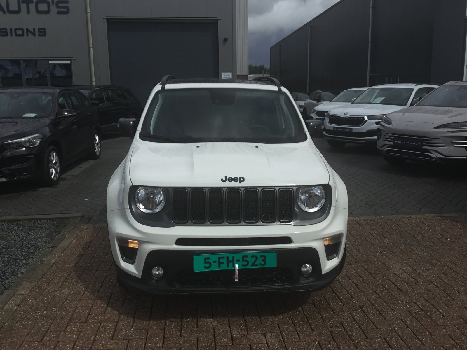 Inspectiefoto van Jeep Renegade