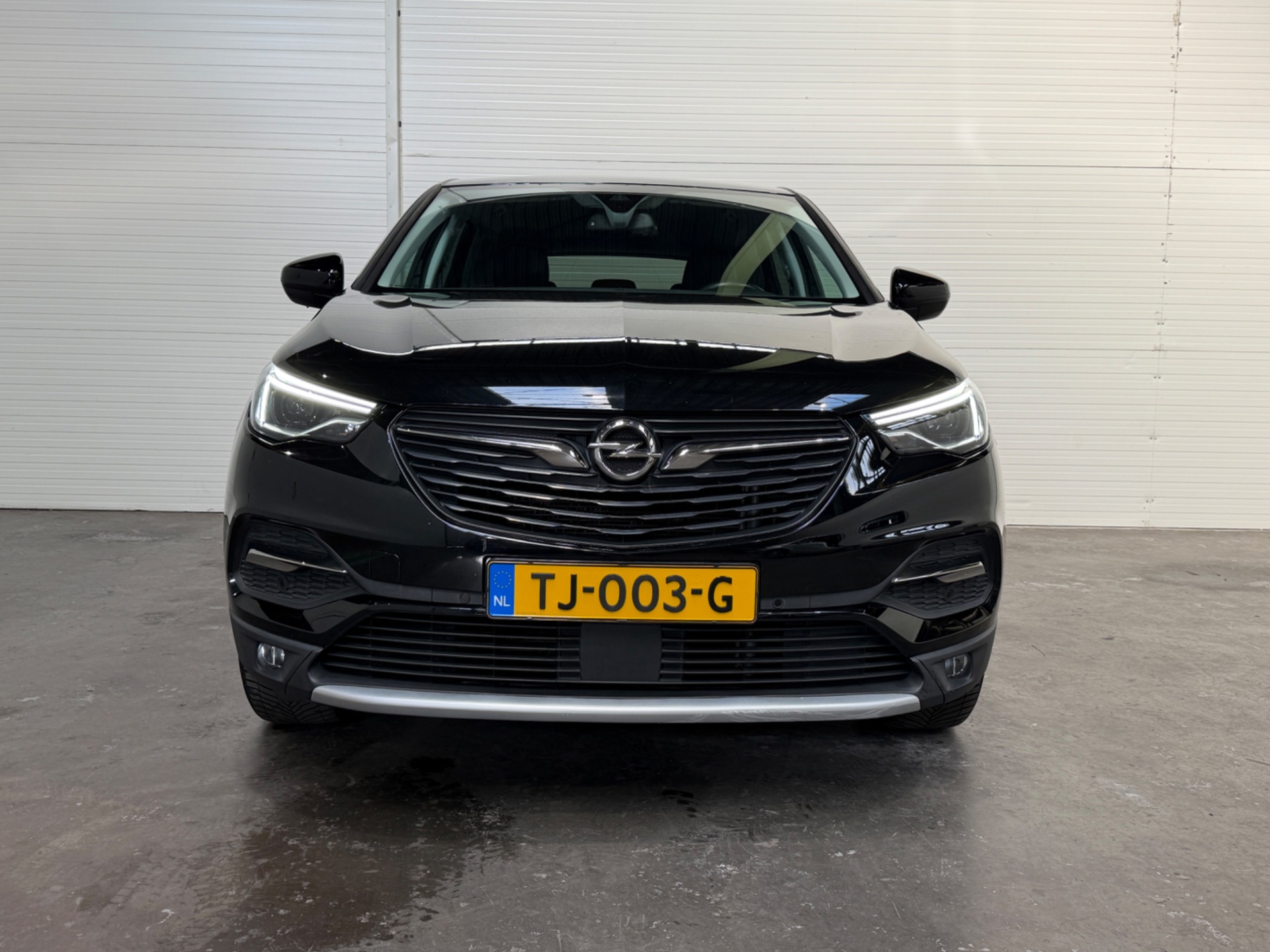 Foto van Opel Grandland X