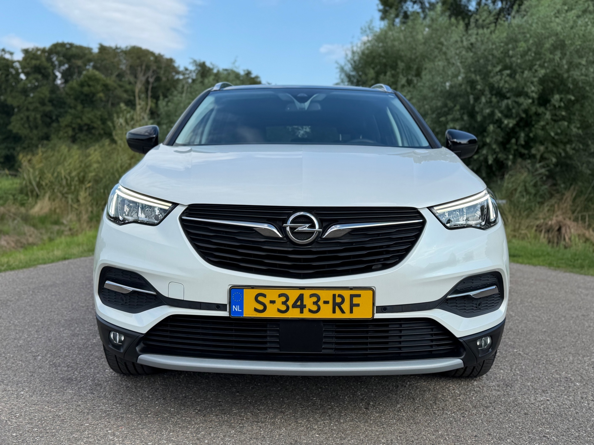 Foto van Opel Grandland X
