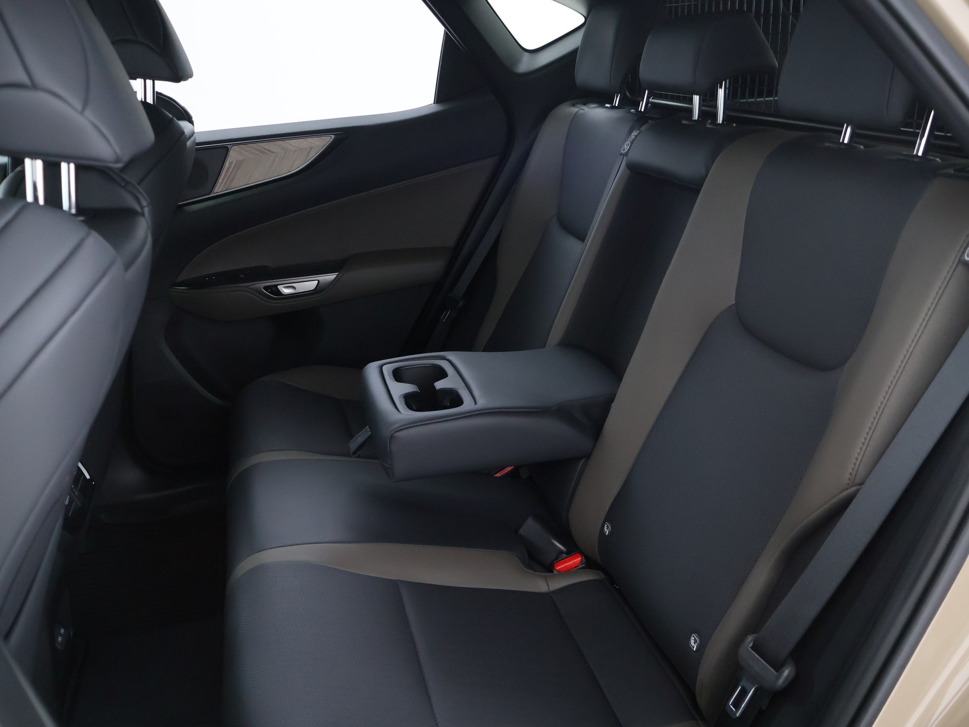 Foto van Lexus Lexus Nx450h+