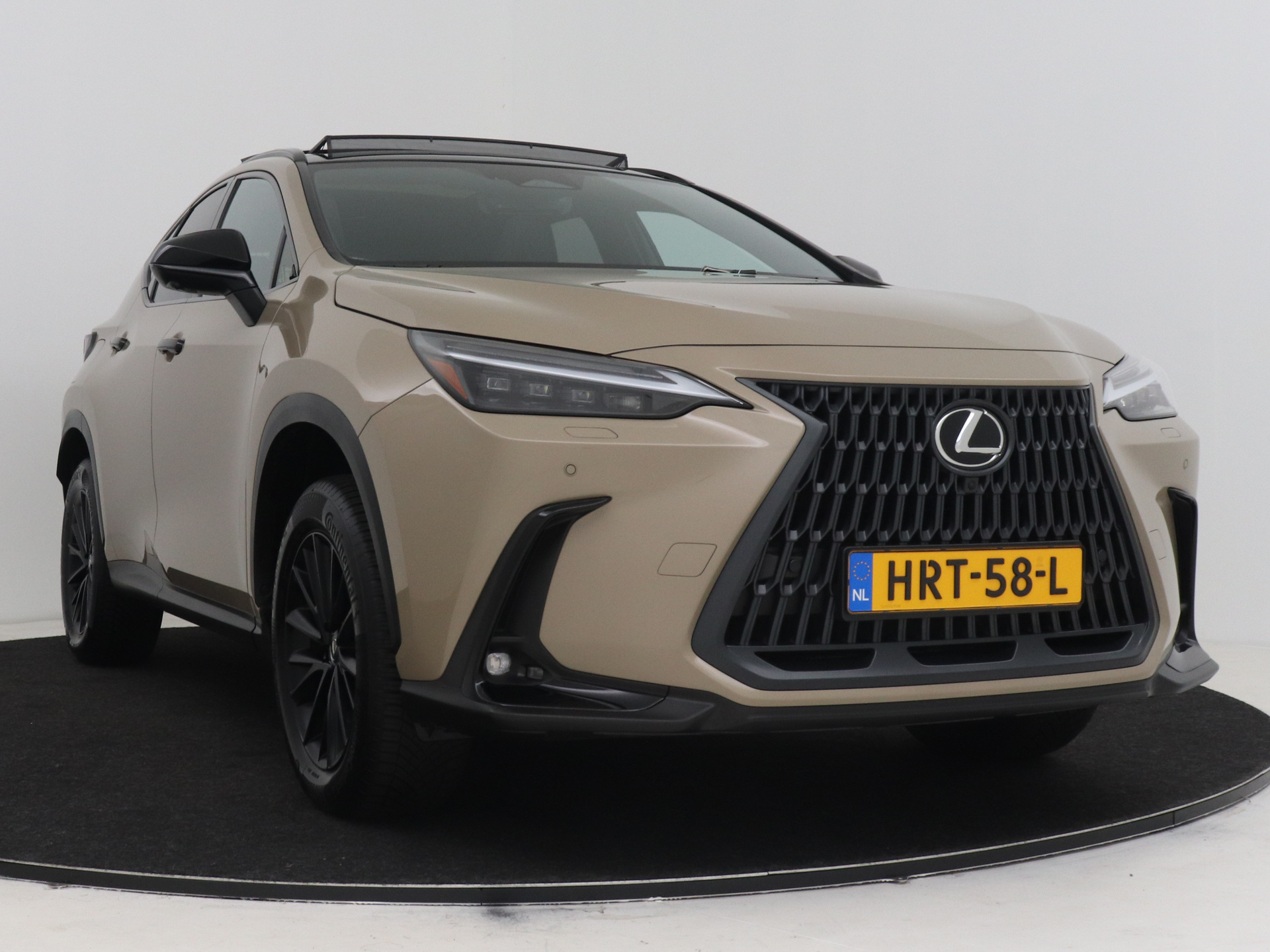 Foto van Lexus Lexus Nx450h+