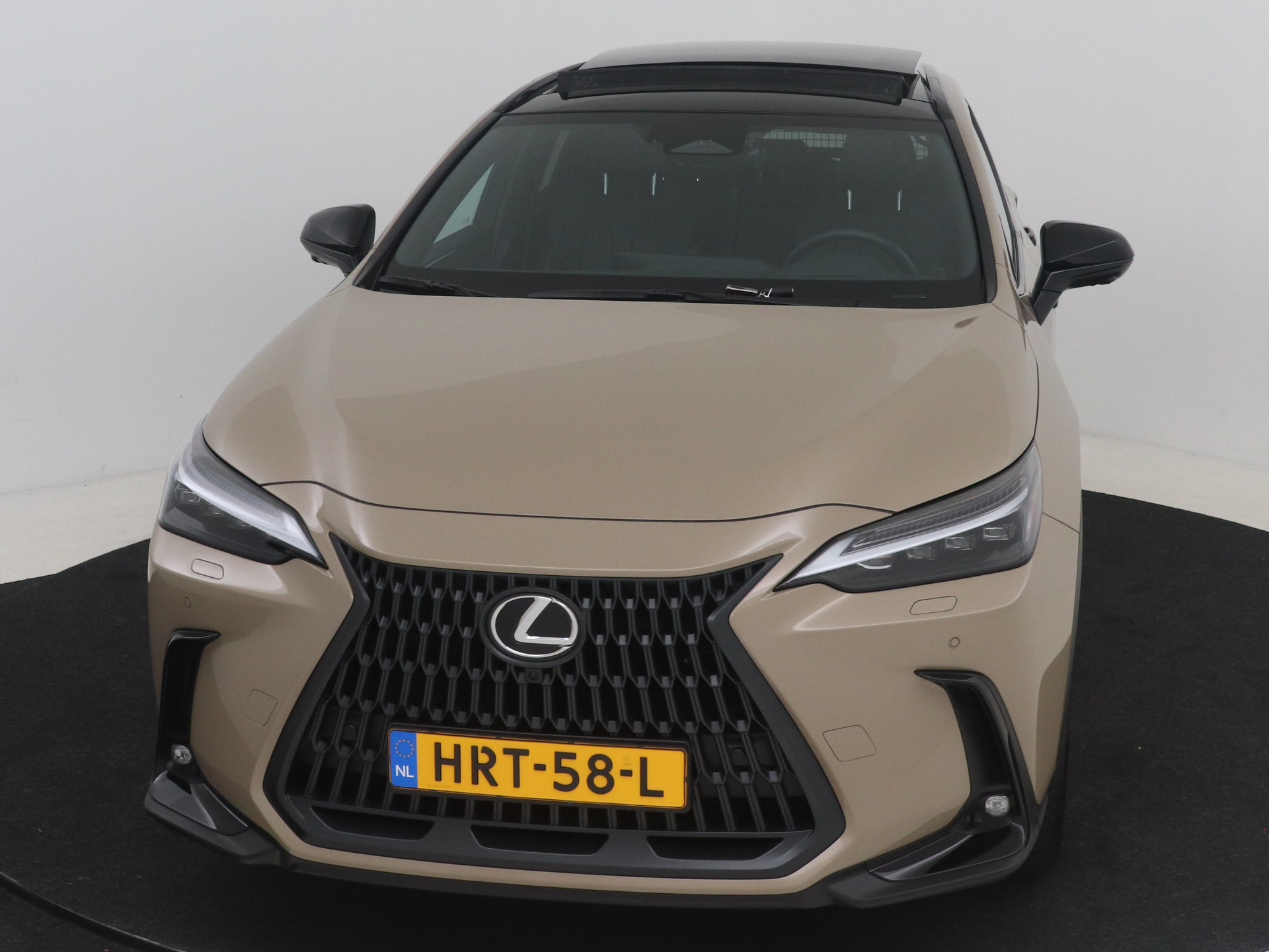 Foto van Lexus Lexus Nx450h+