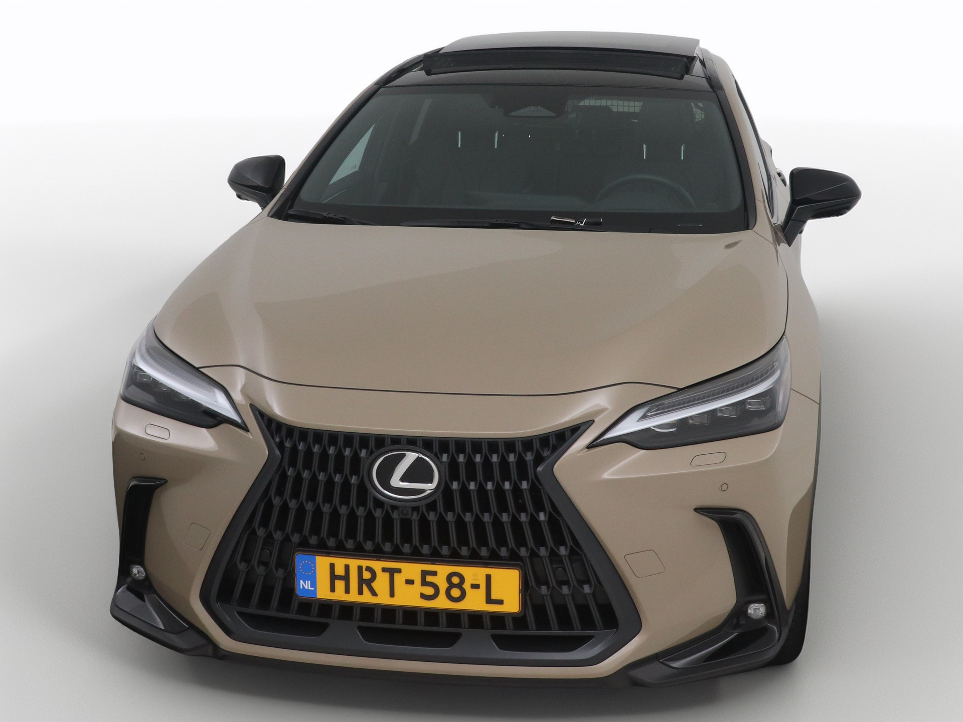 Foto van Lexus Lexus Nx450h+