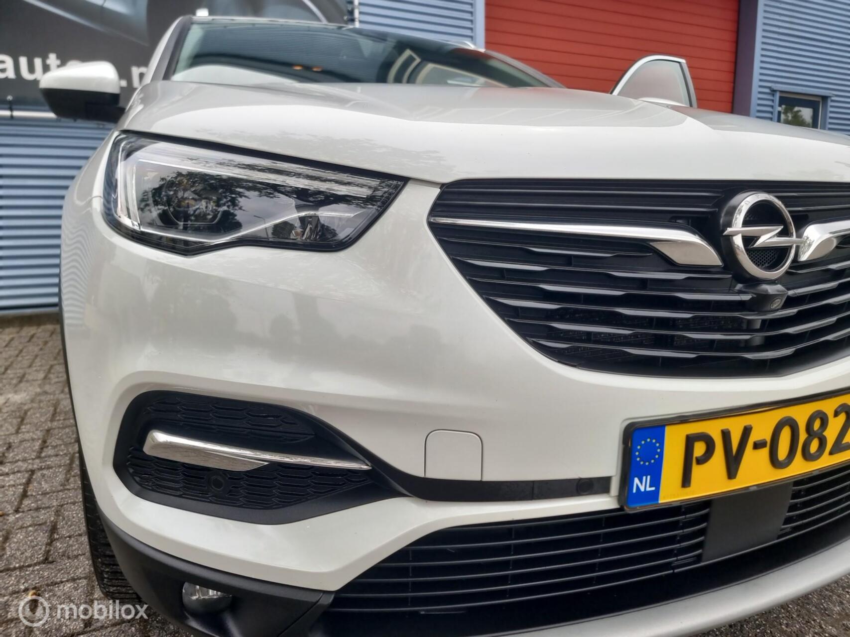 Foto van Opel Grandland X