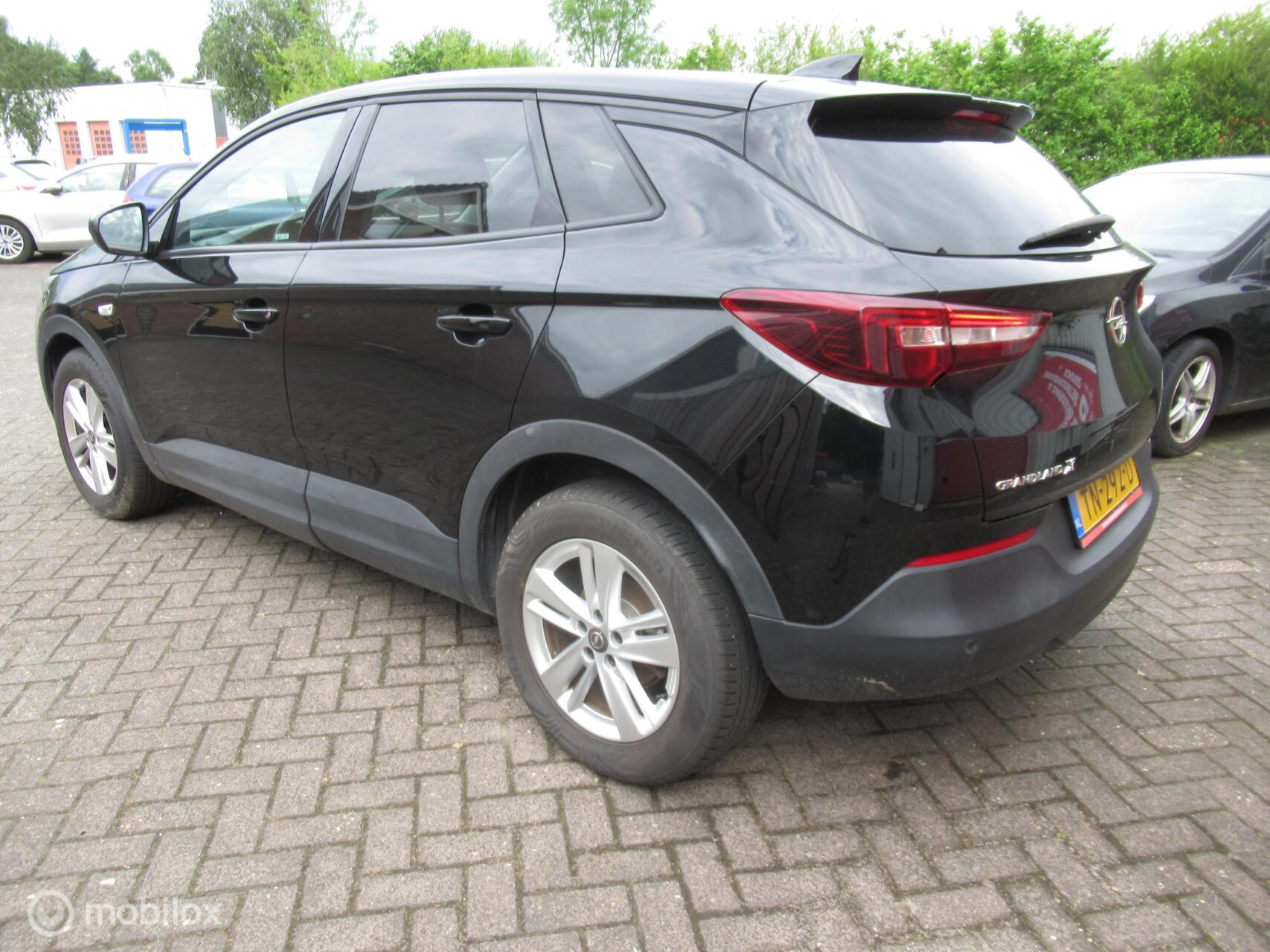 Foto van Opel Grandland X