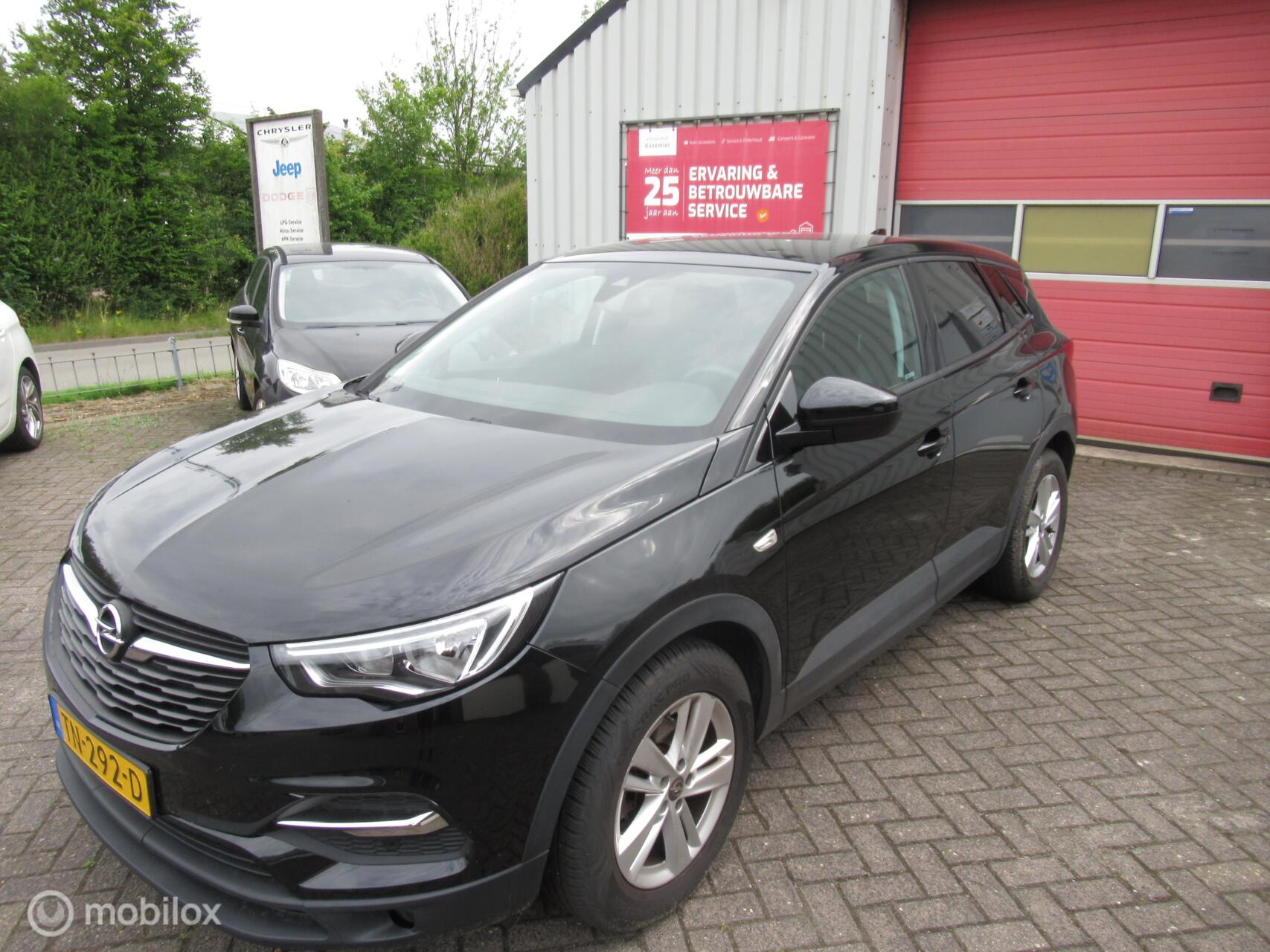 Foto van Opel Grandland X