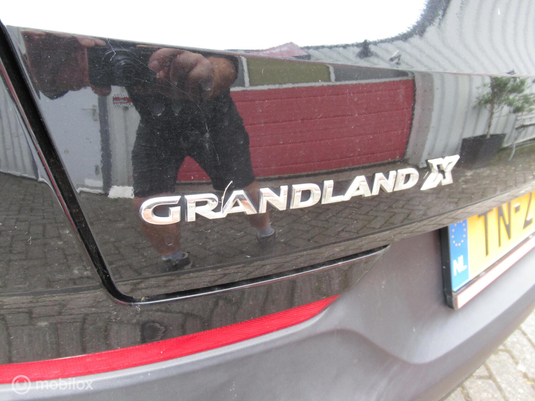 Foto van Opel Grandland X