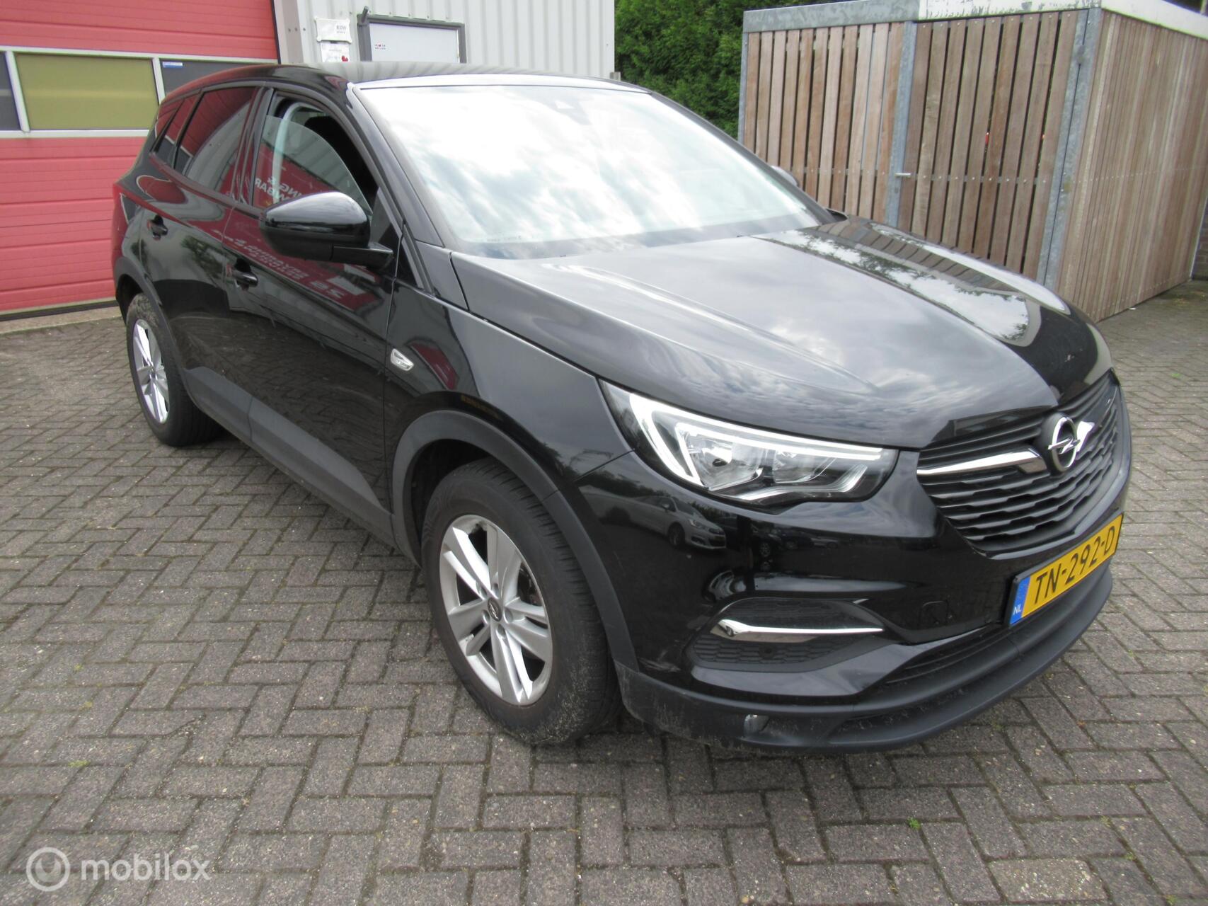 Foto van Opel Grandland X