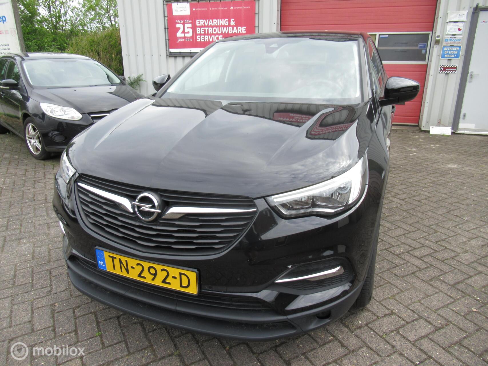 Foto van Opel Grandland X