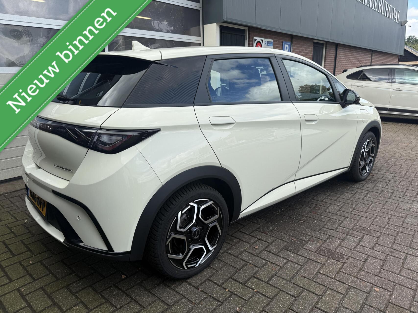 Foto van BYD BYD Dolphin