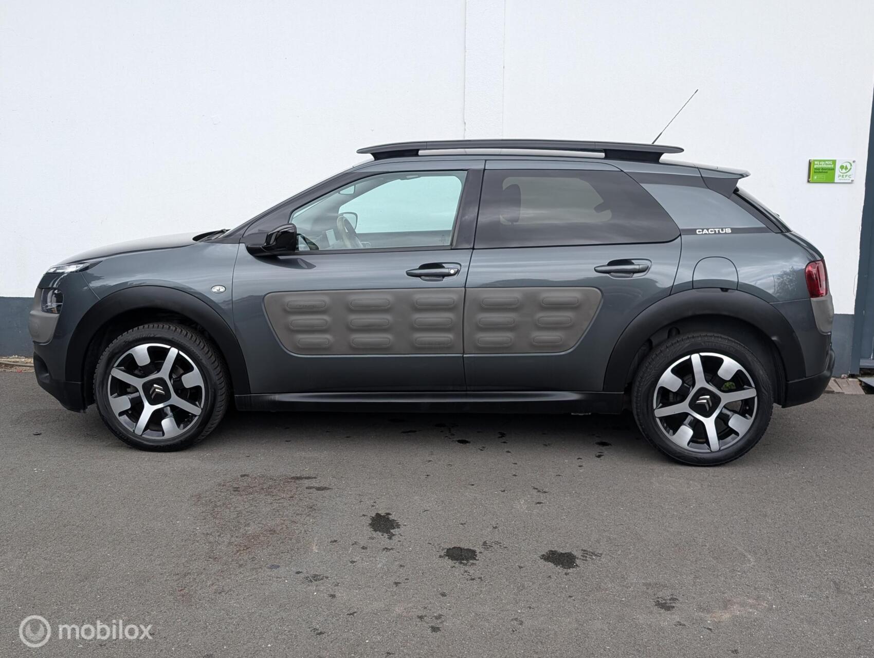 Foto van Citroen C4 Cactus
