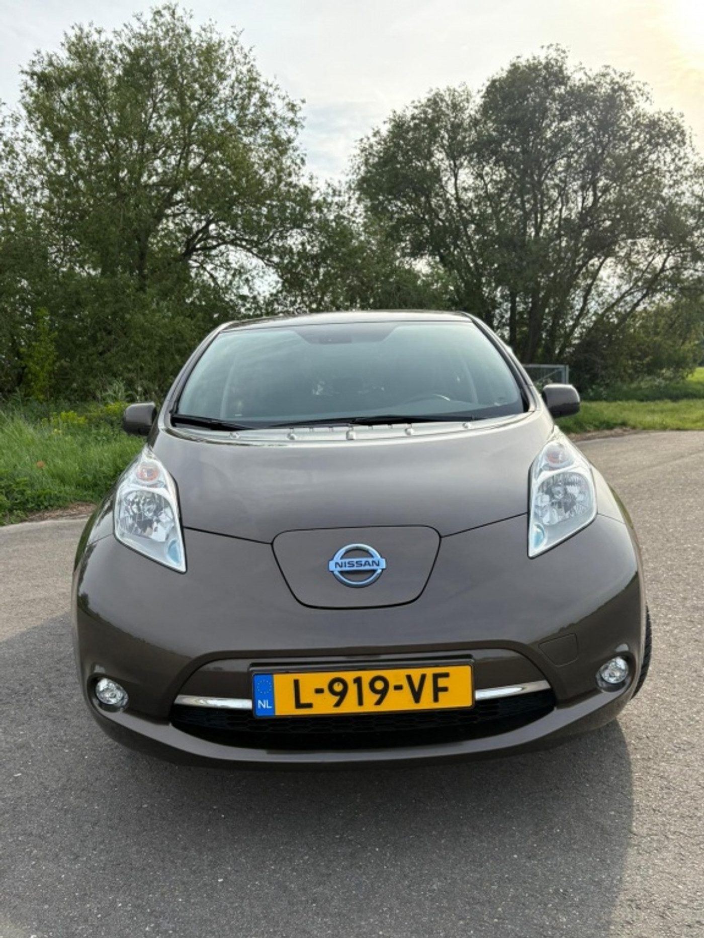 Foto van Nissan Nissan Leaf 30kwh