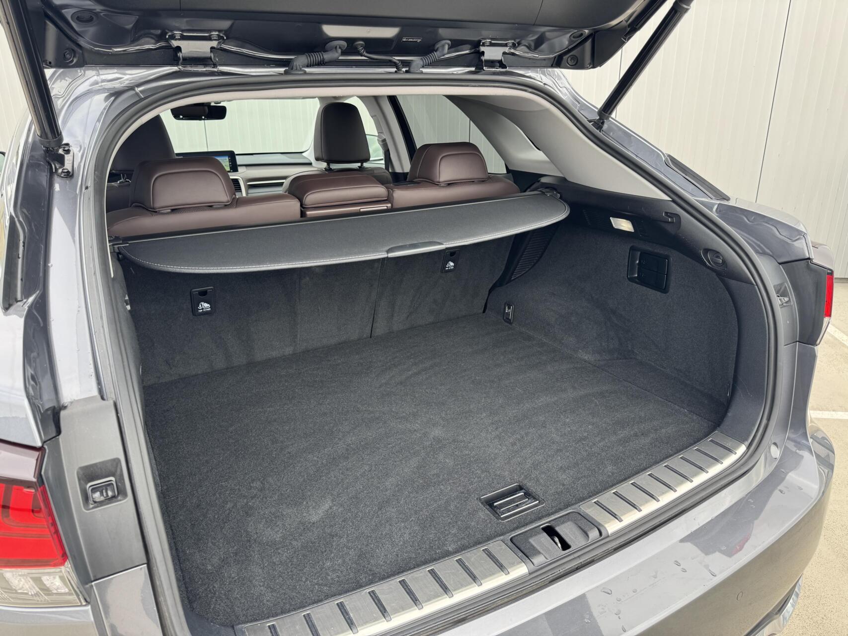 Foto van Lexus RX