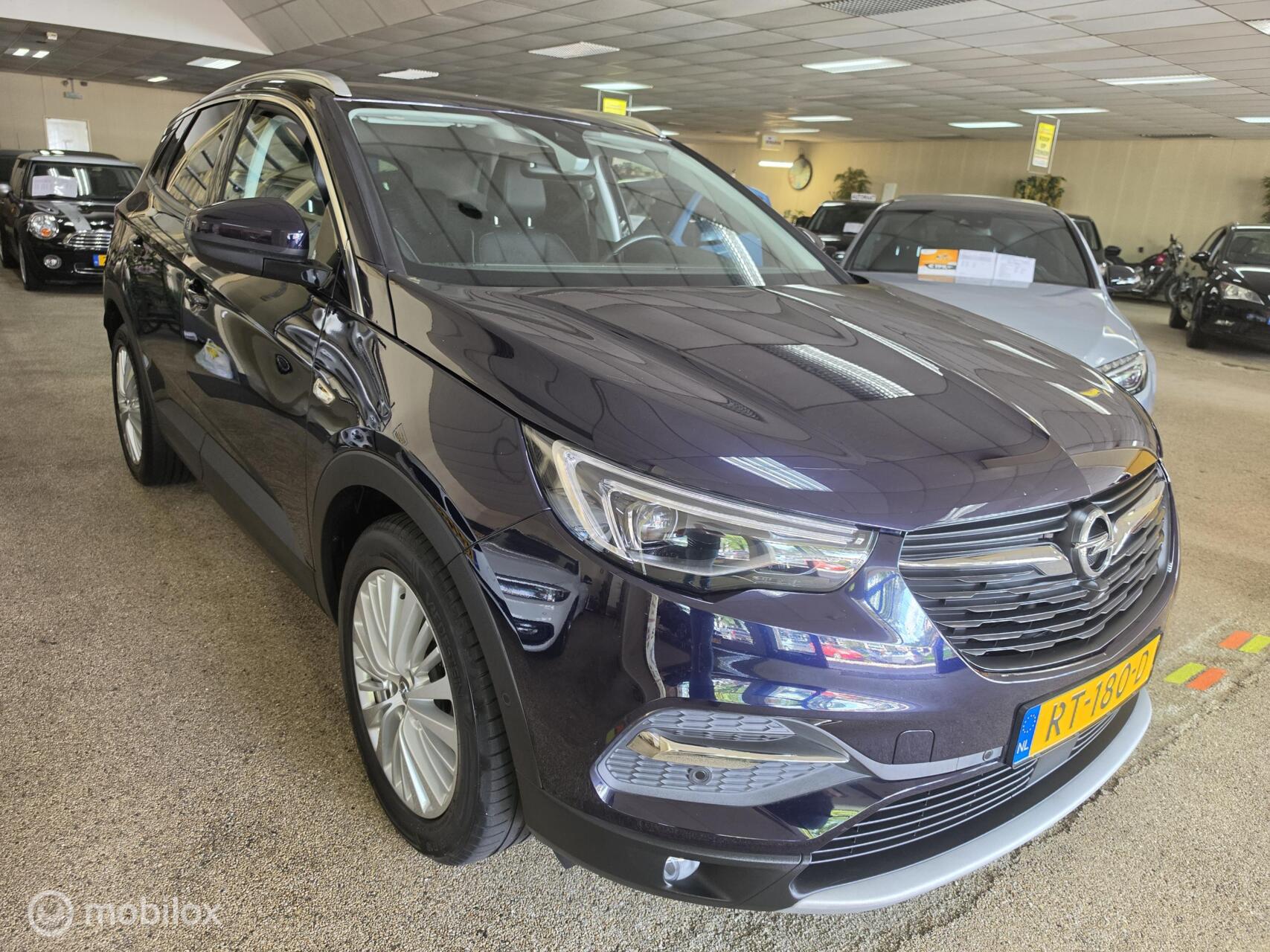 Foto van Opel Grandland X