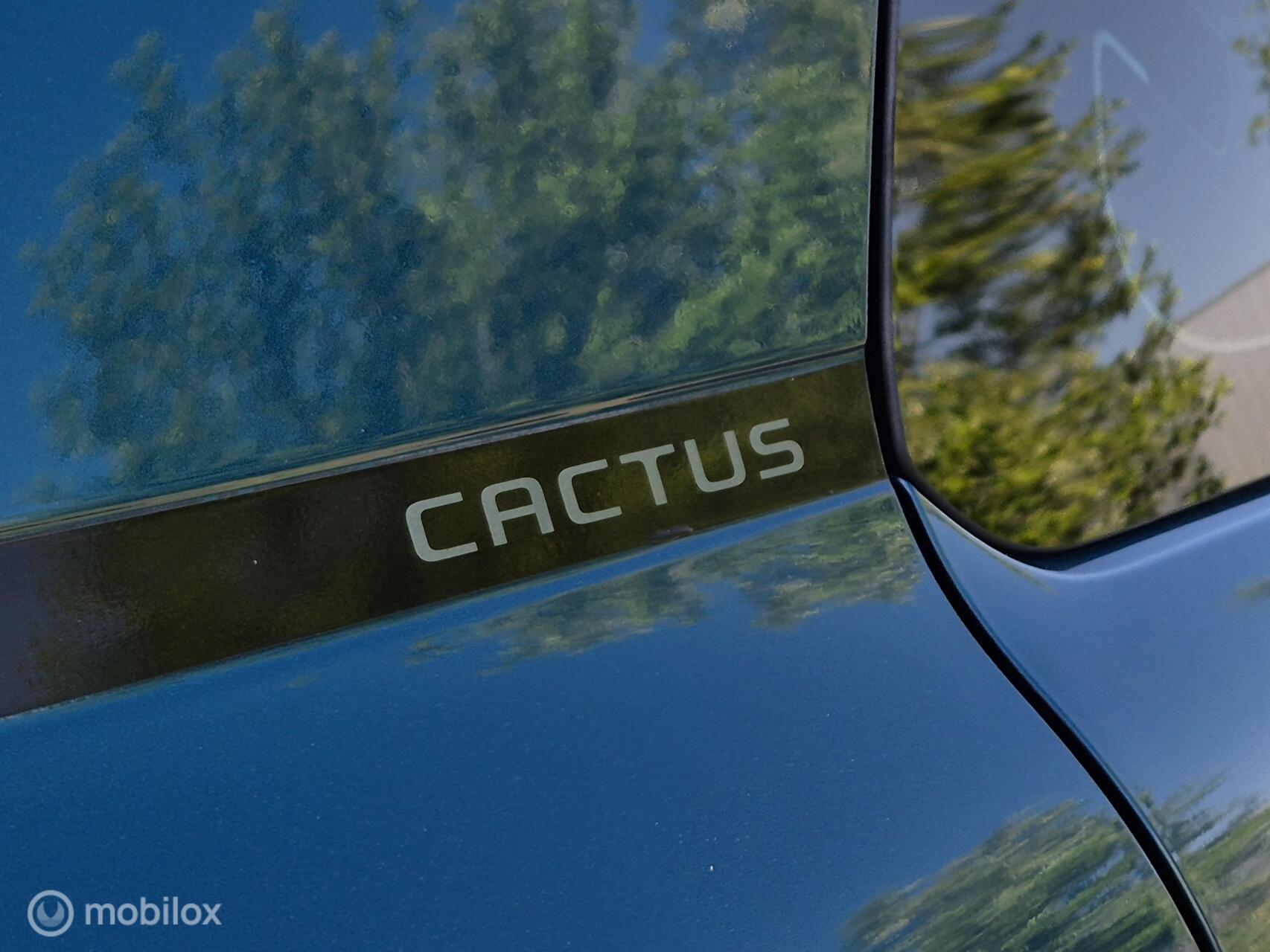 Foto van Citroen C4 Cactus