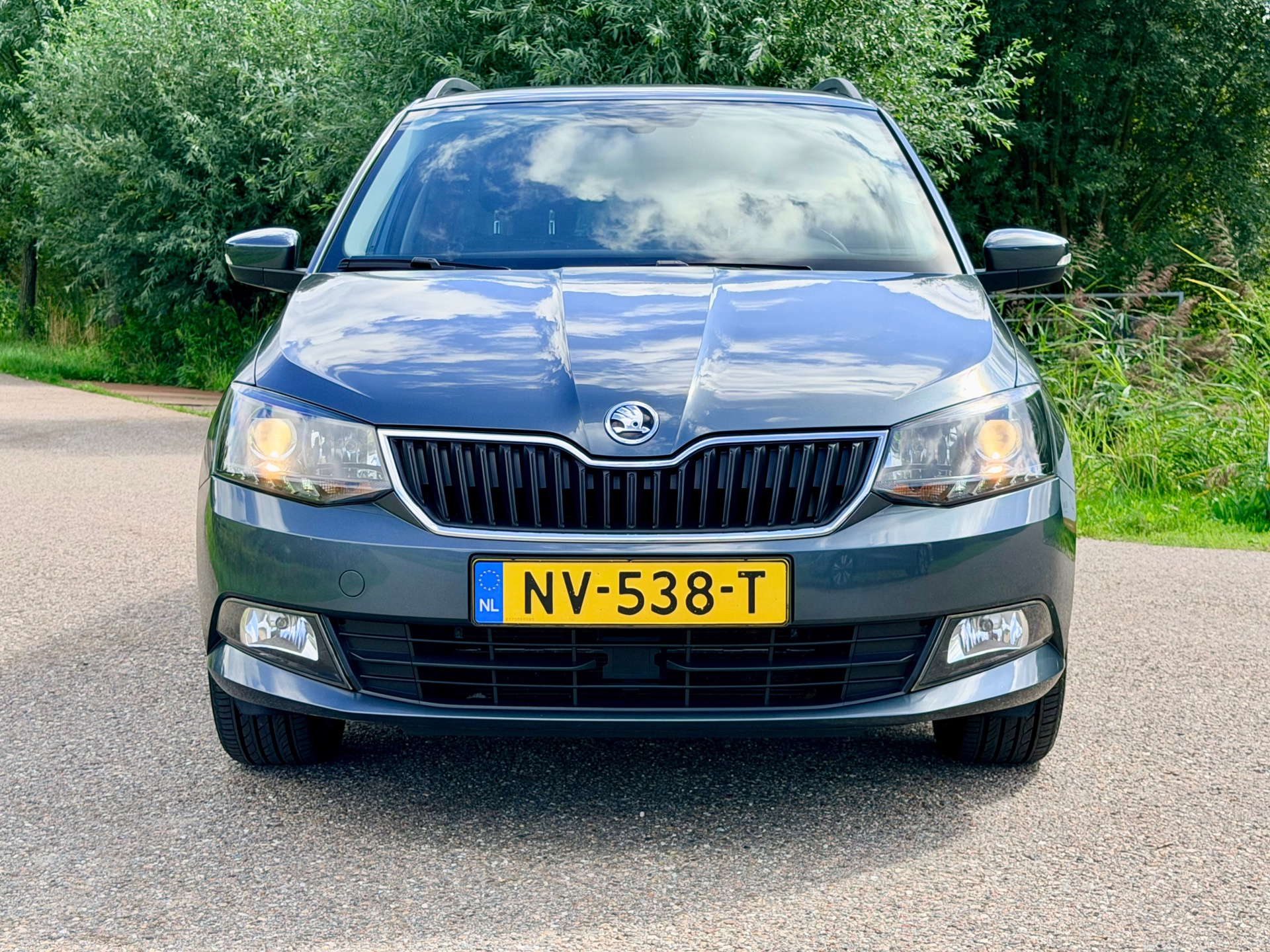 Foto van Skoda Fabia