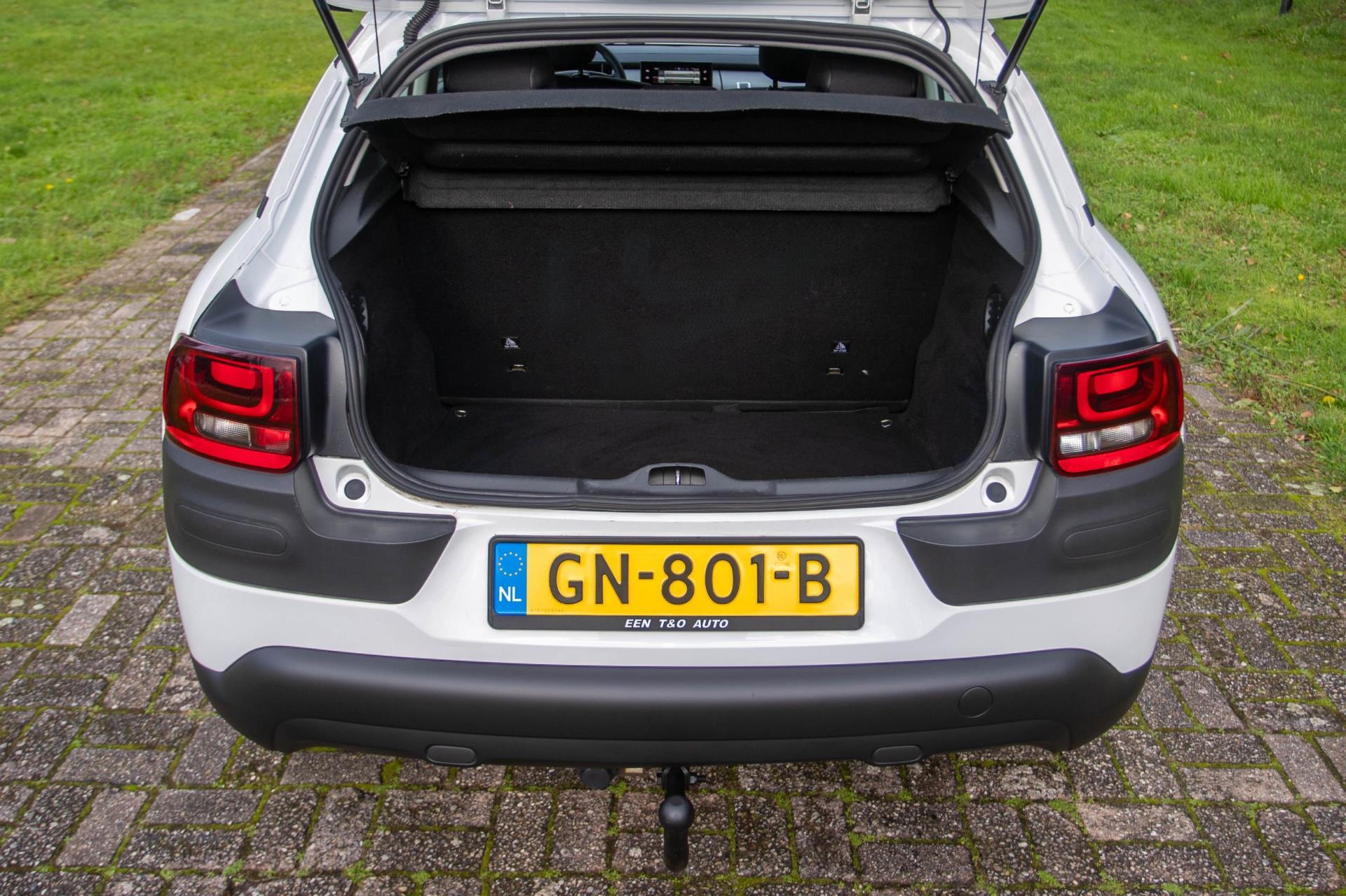 Foto van Citroen C4 Cactus