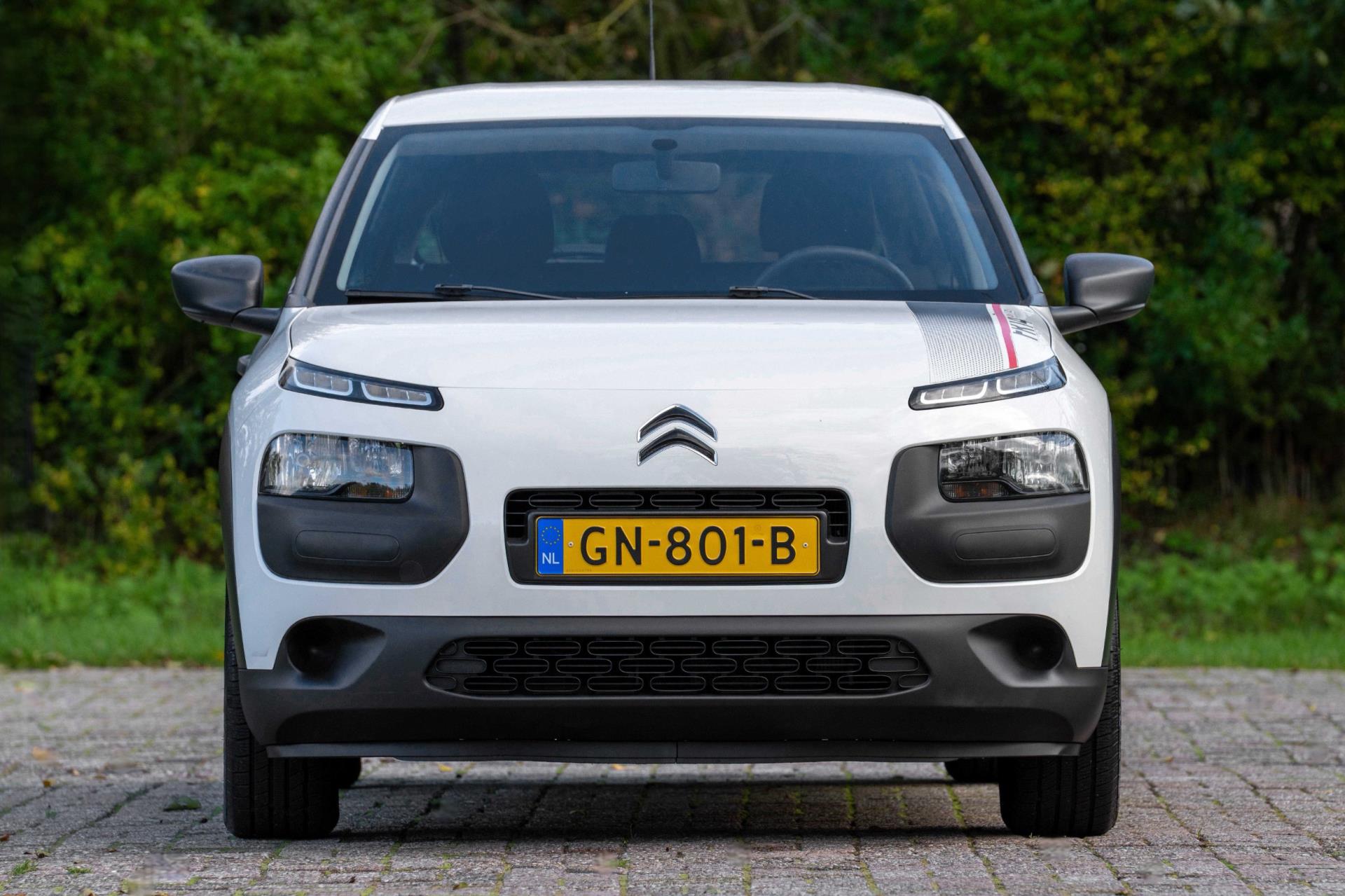 Foto van Citroen C4 Cactus